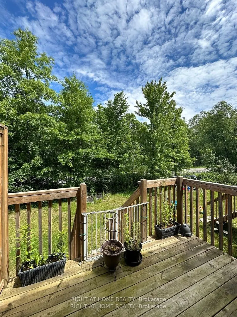 86 Haney Drive