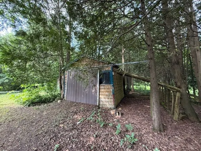 455466 3B Concession