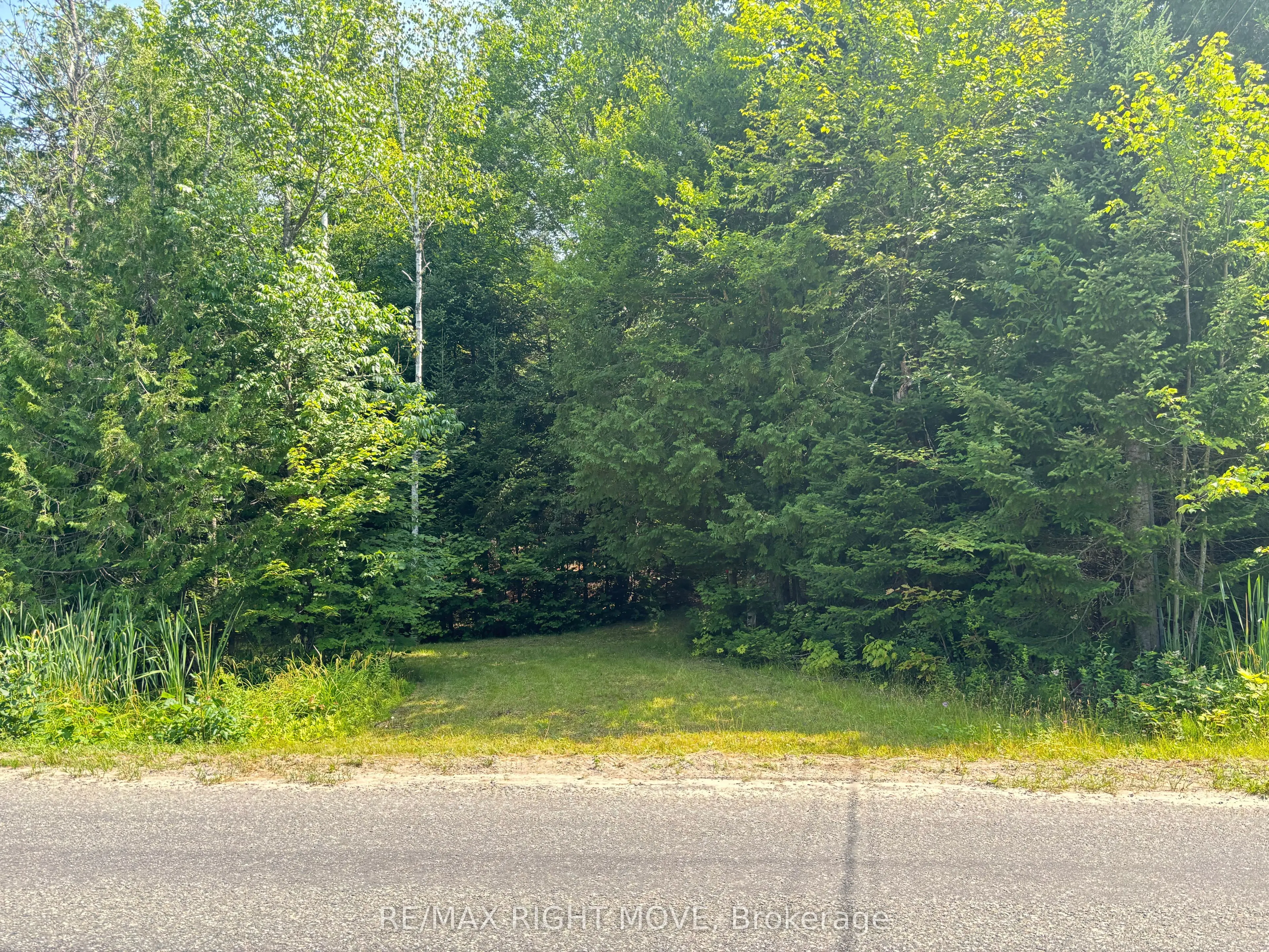 LT 51 PL 277 Sunrise Drive