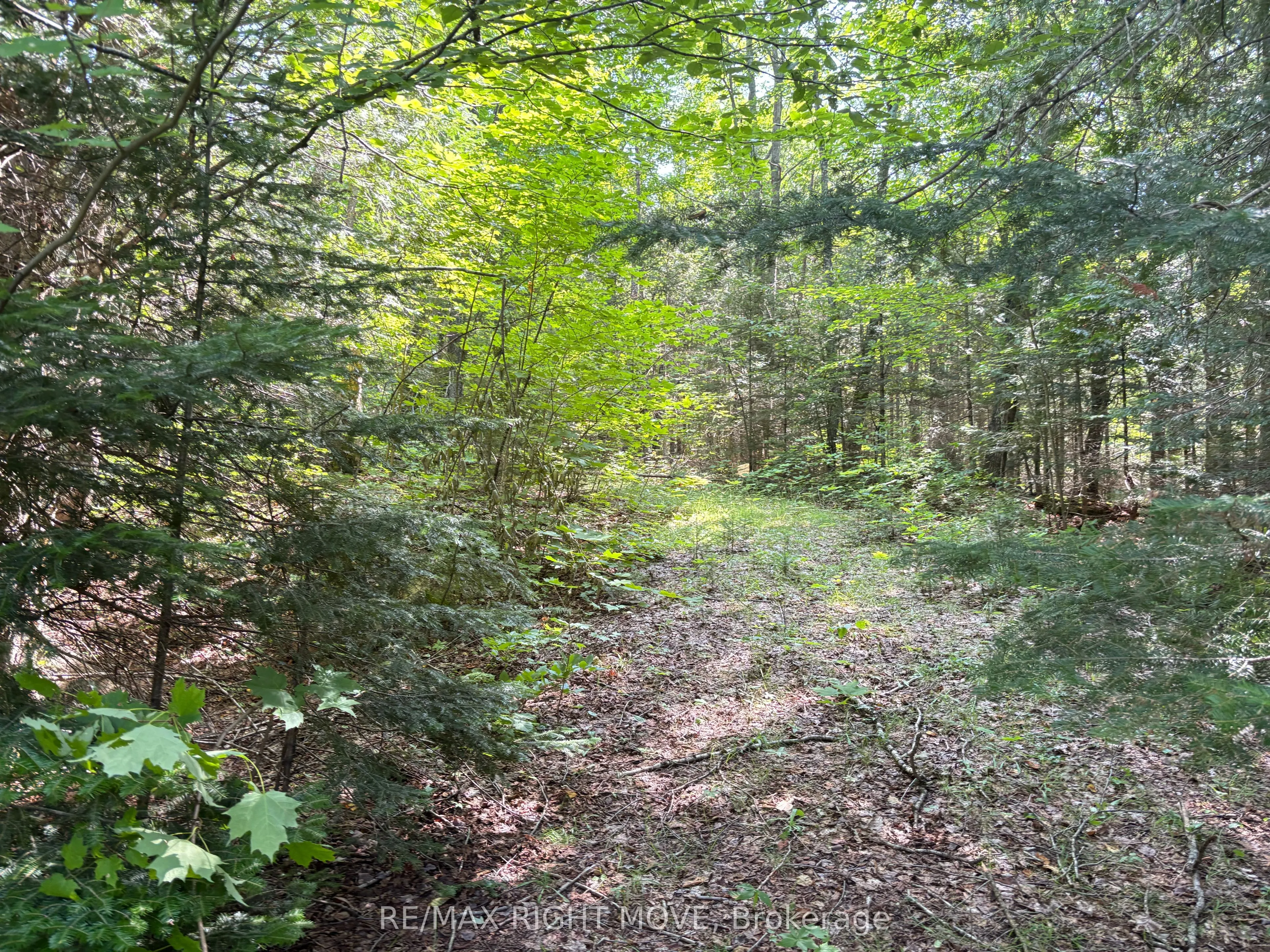 LT 51 PL 277 Sunrise Drive