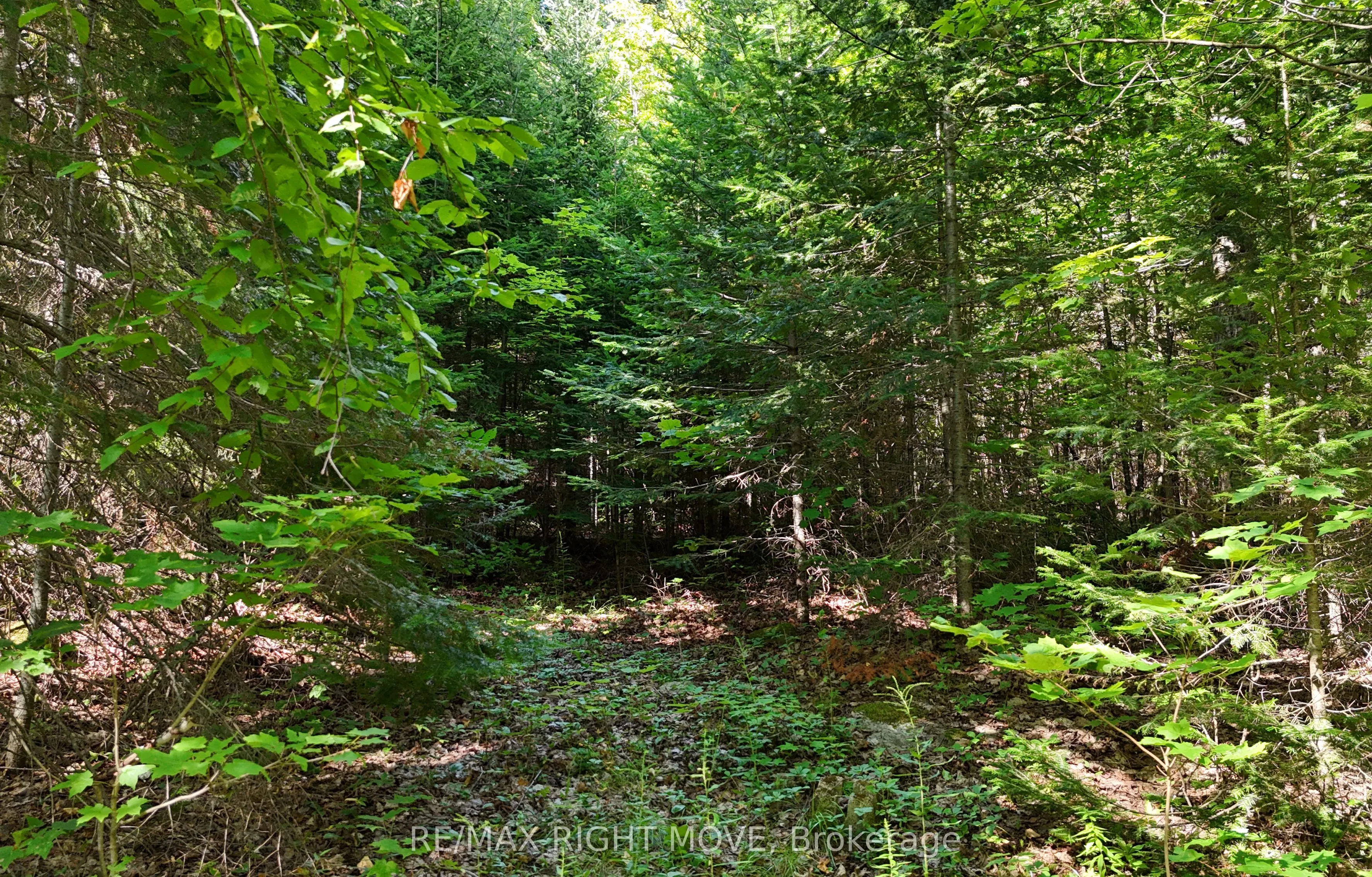 LT 51 PL 277 Sunrise Drive