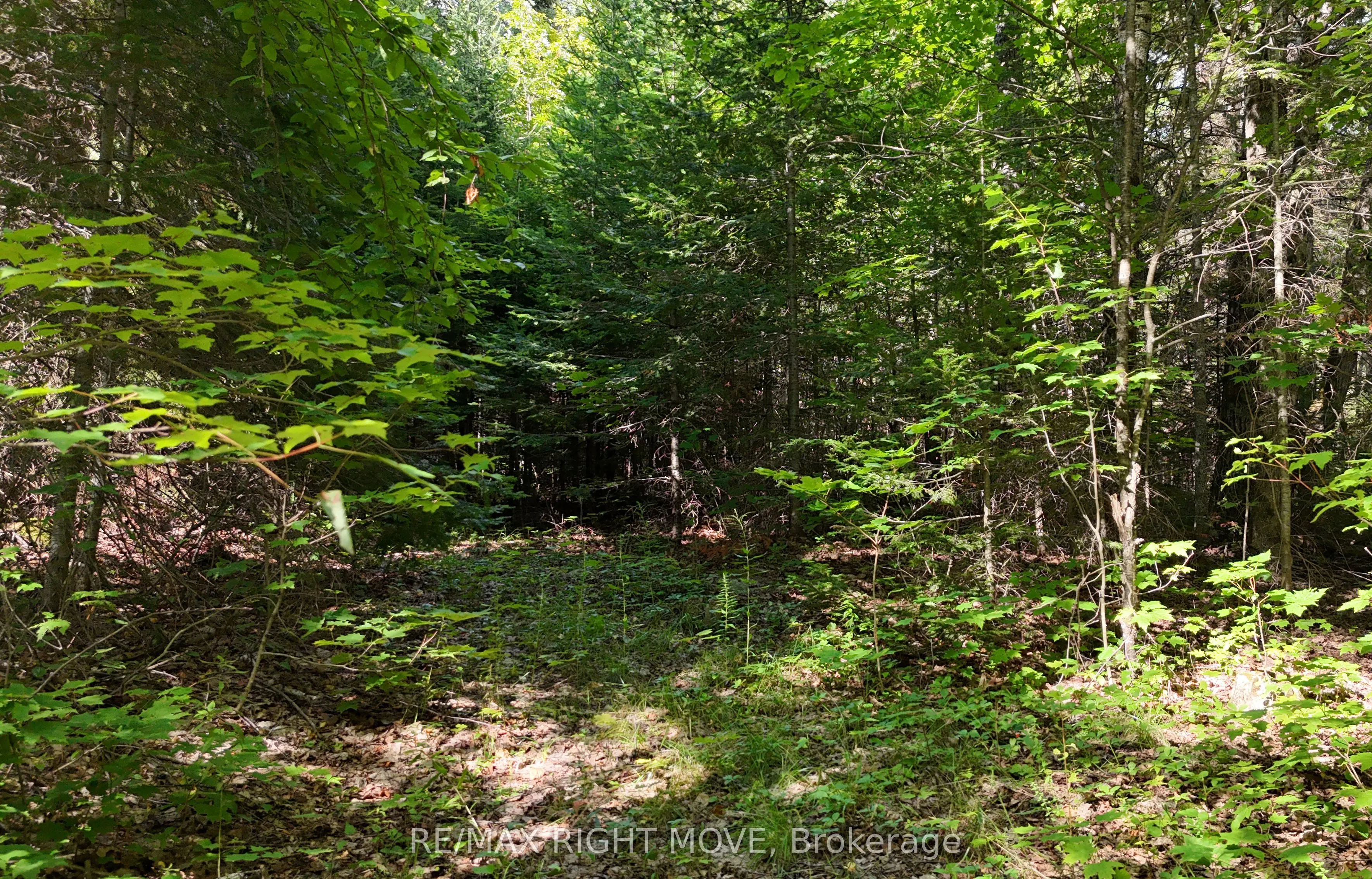 LT 51 PL 277 Sunrise Drive
