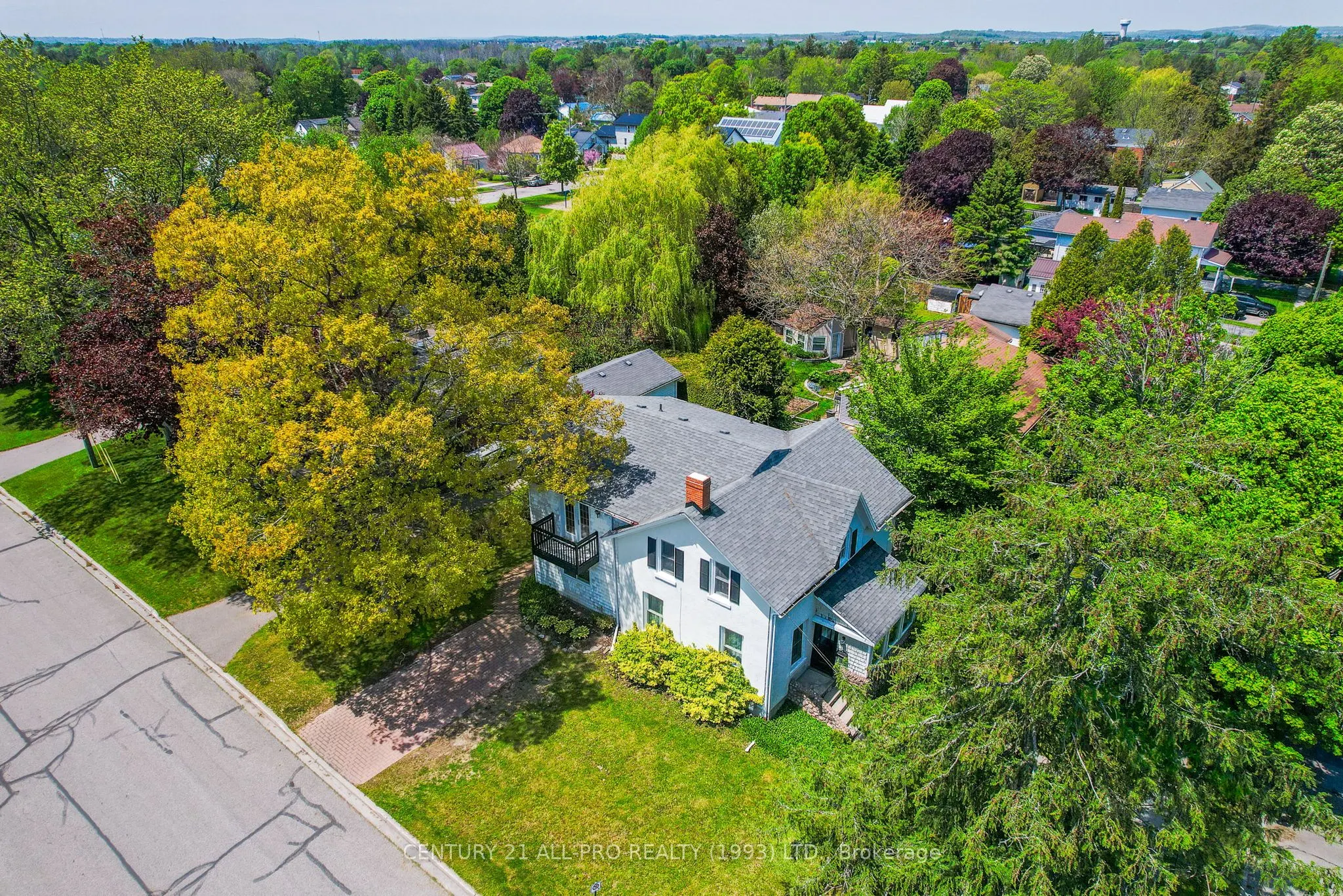 113 Tremaine Street