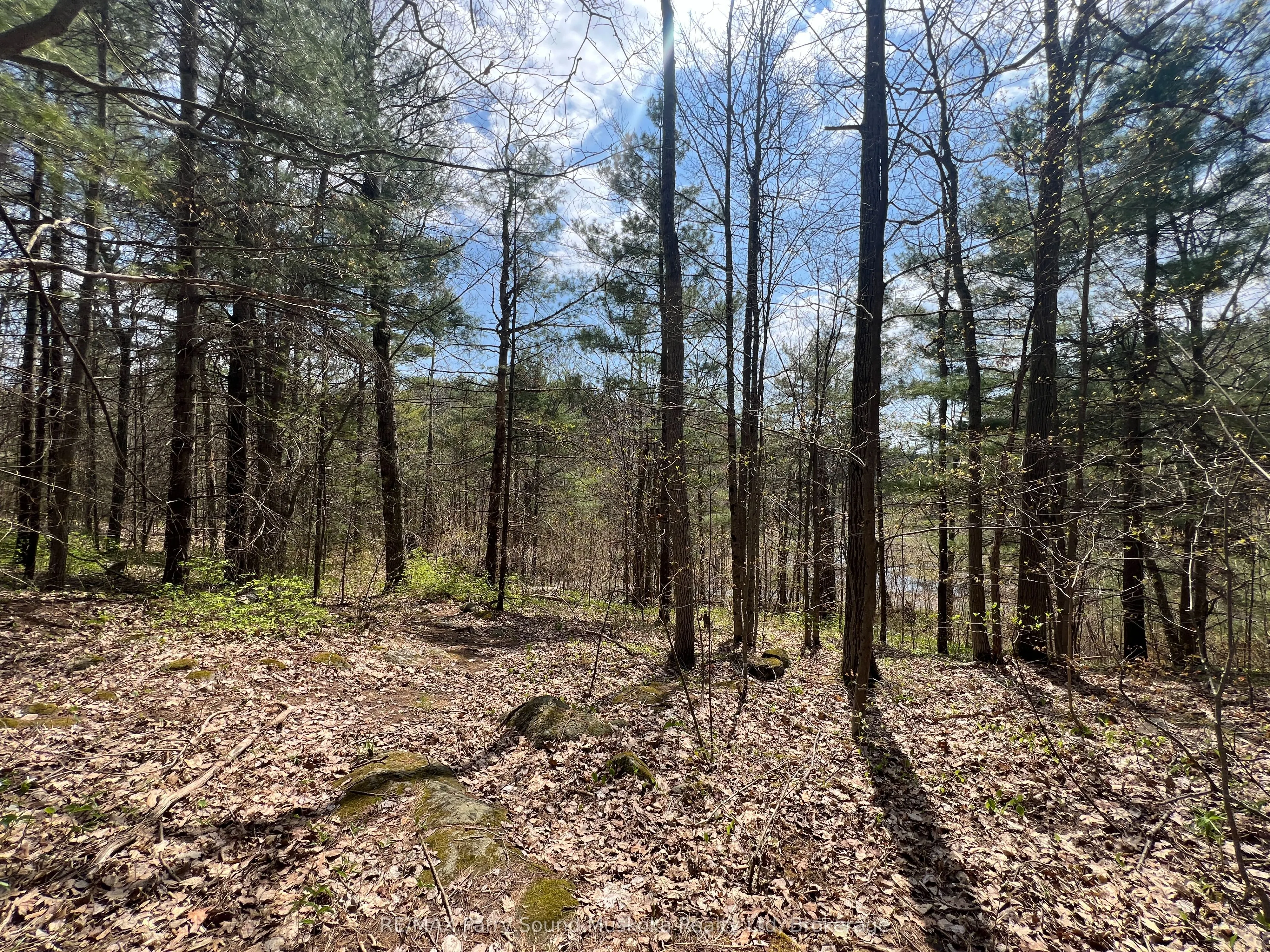 Part Lot 31 Rose Point Trail