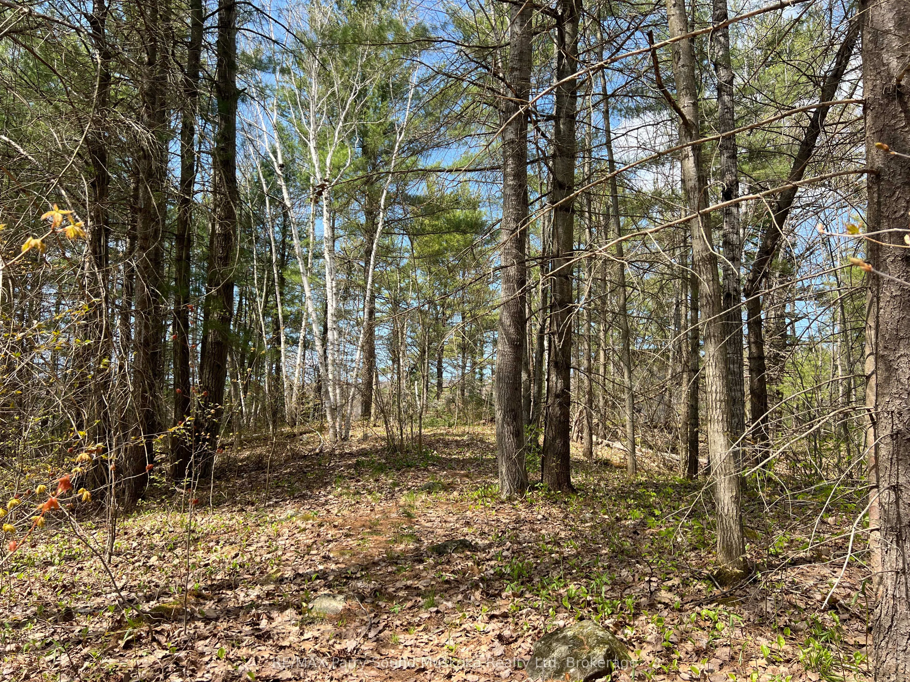 Part Lot 31 Rose Point Trail