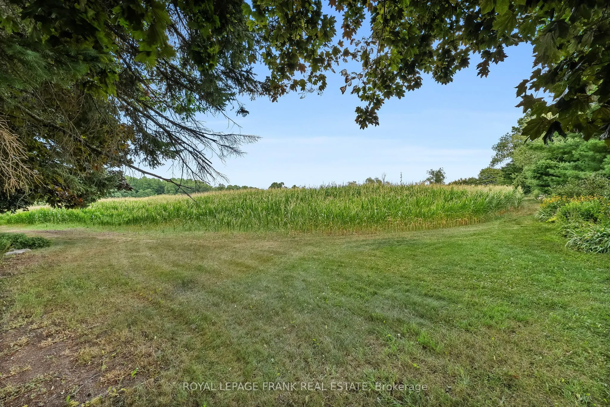 3311 Zion Road