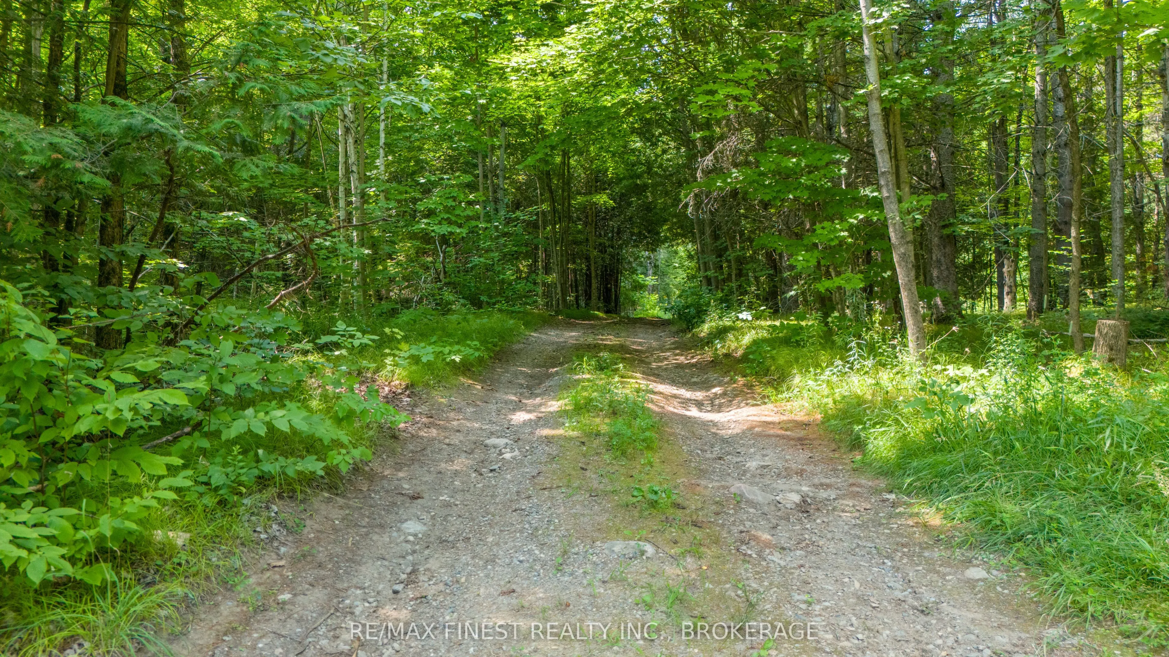 1128 Over the Hills Road