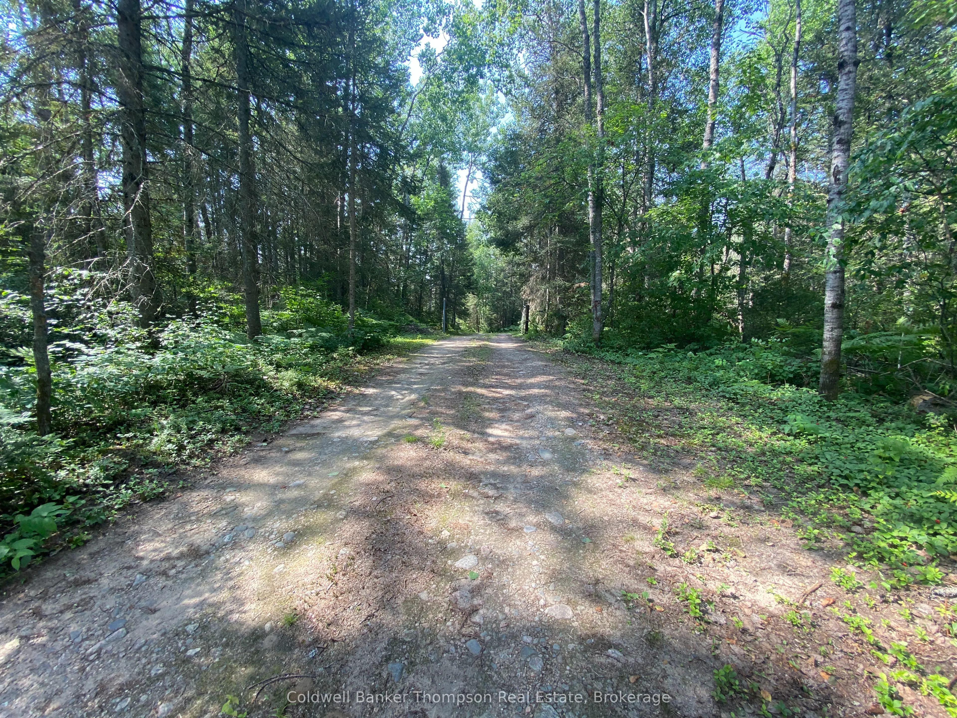 183 Sandhill Road