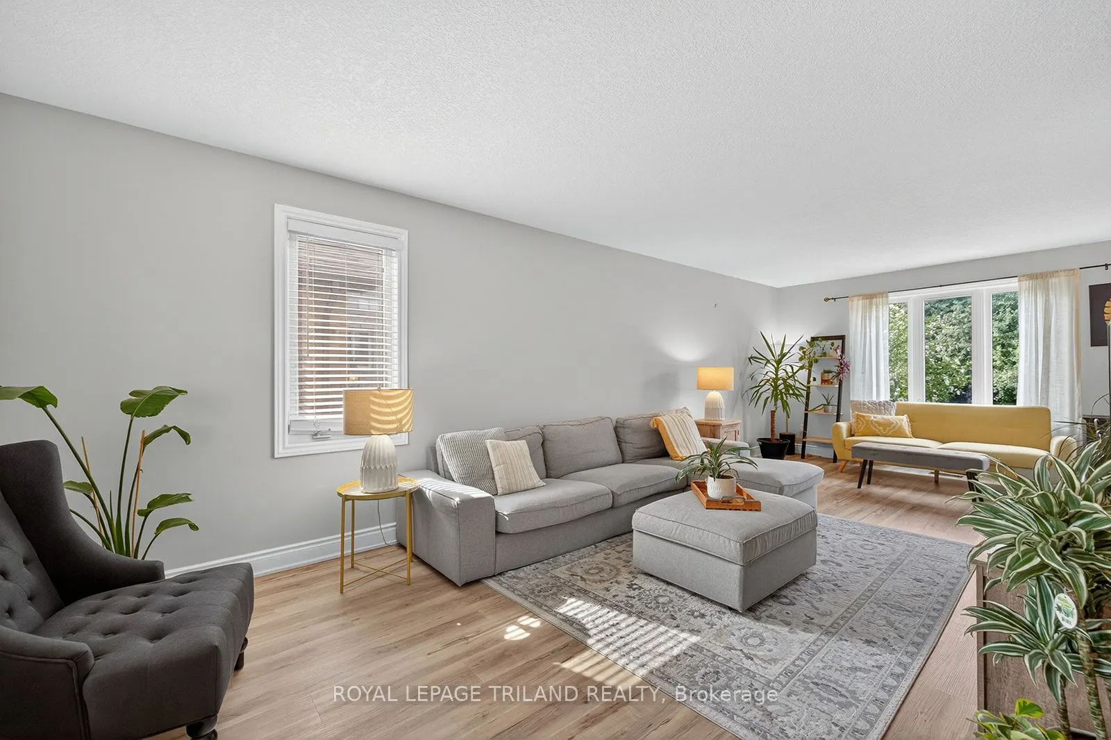 63 Meadowvale Drive