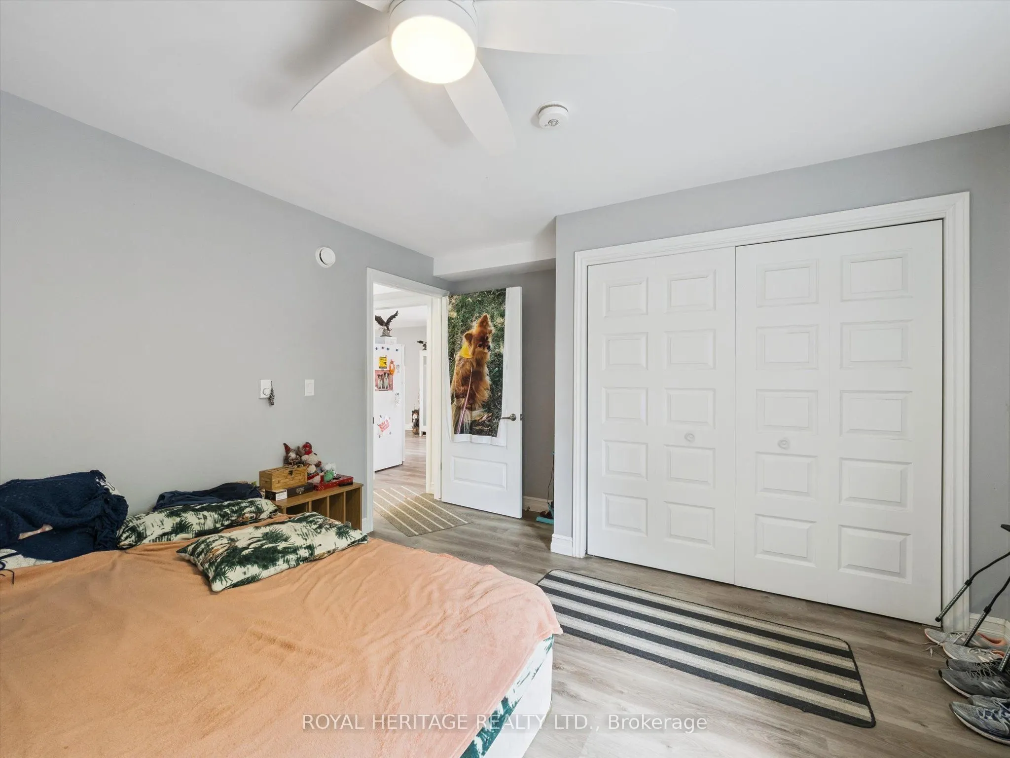 321 David Street