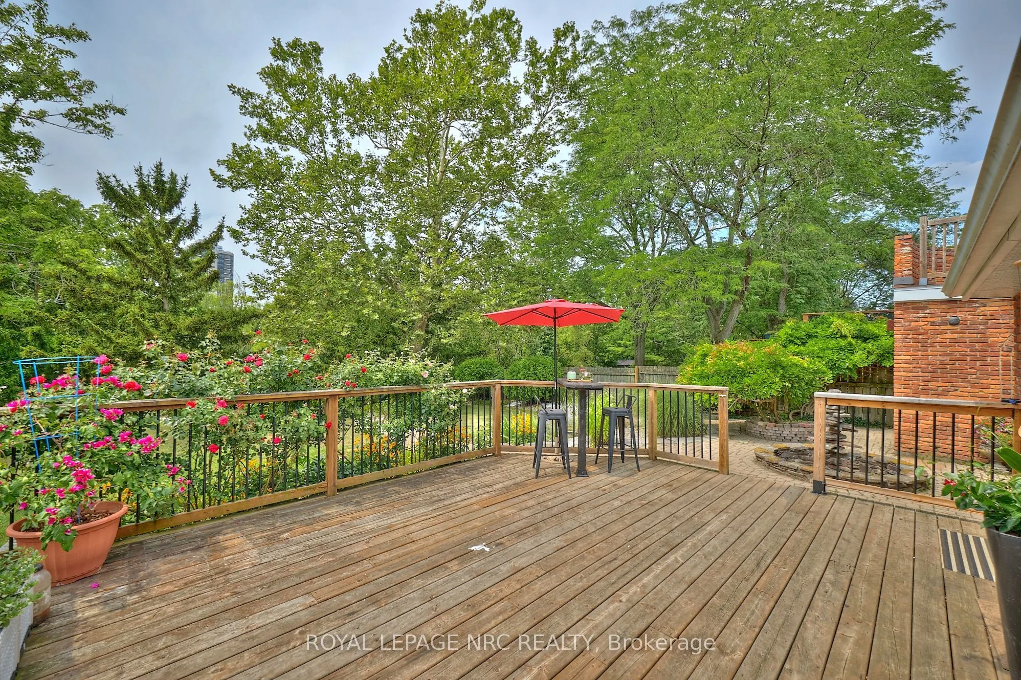 46 Adelene Crescent