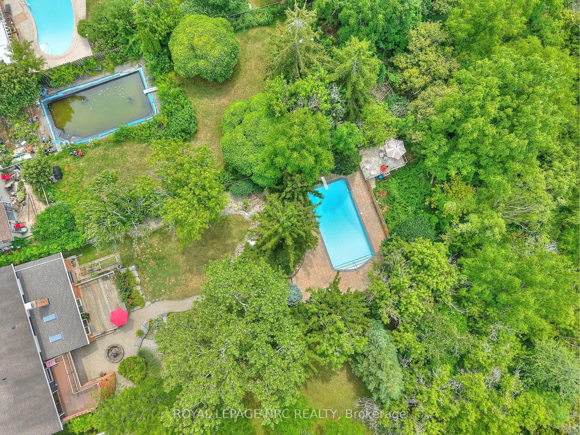 46 Adelene Crescent