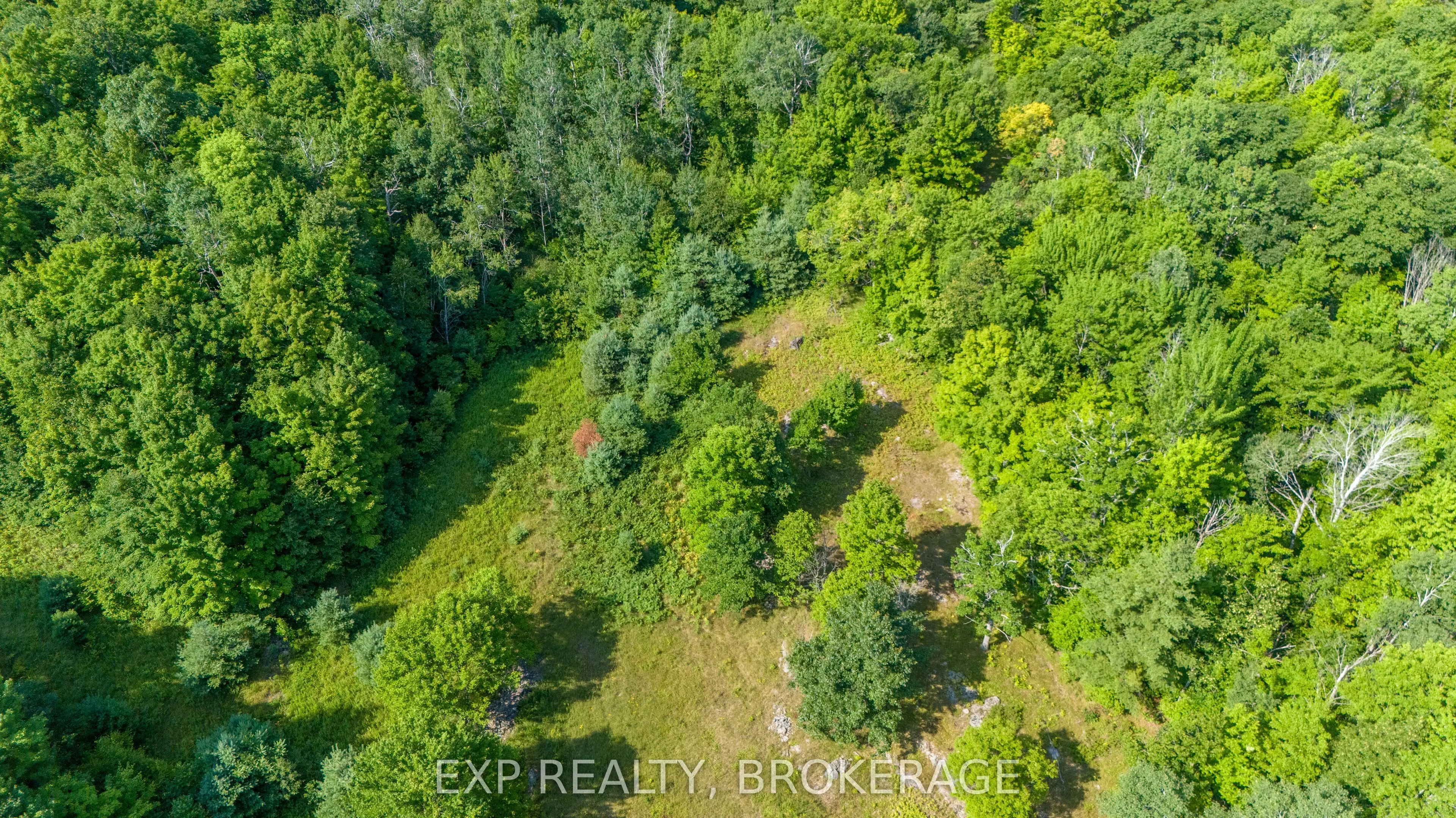 CON 5 N PT LOT 12 LOT 13 ECHO LAKE Road