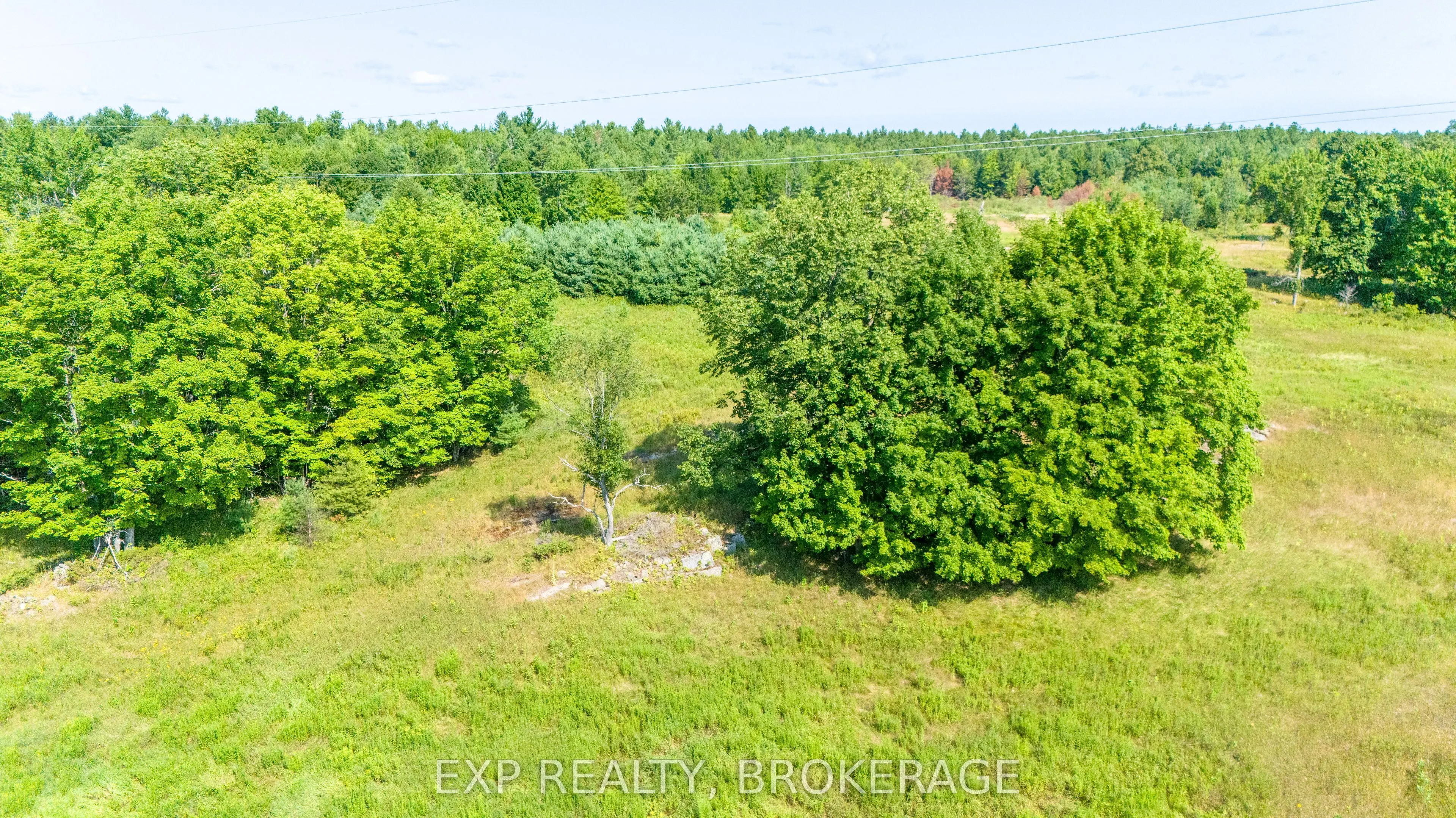 CON 5 N PT LOT 12 LOT 13 ECHO LAKE Road