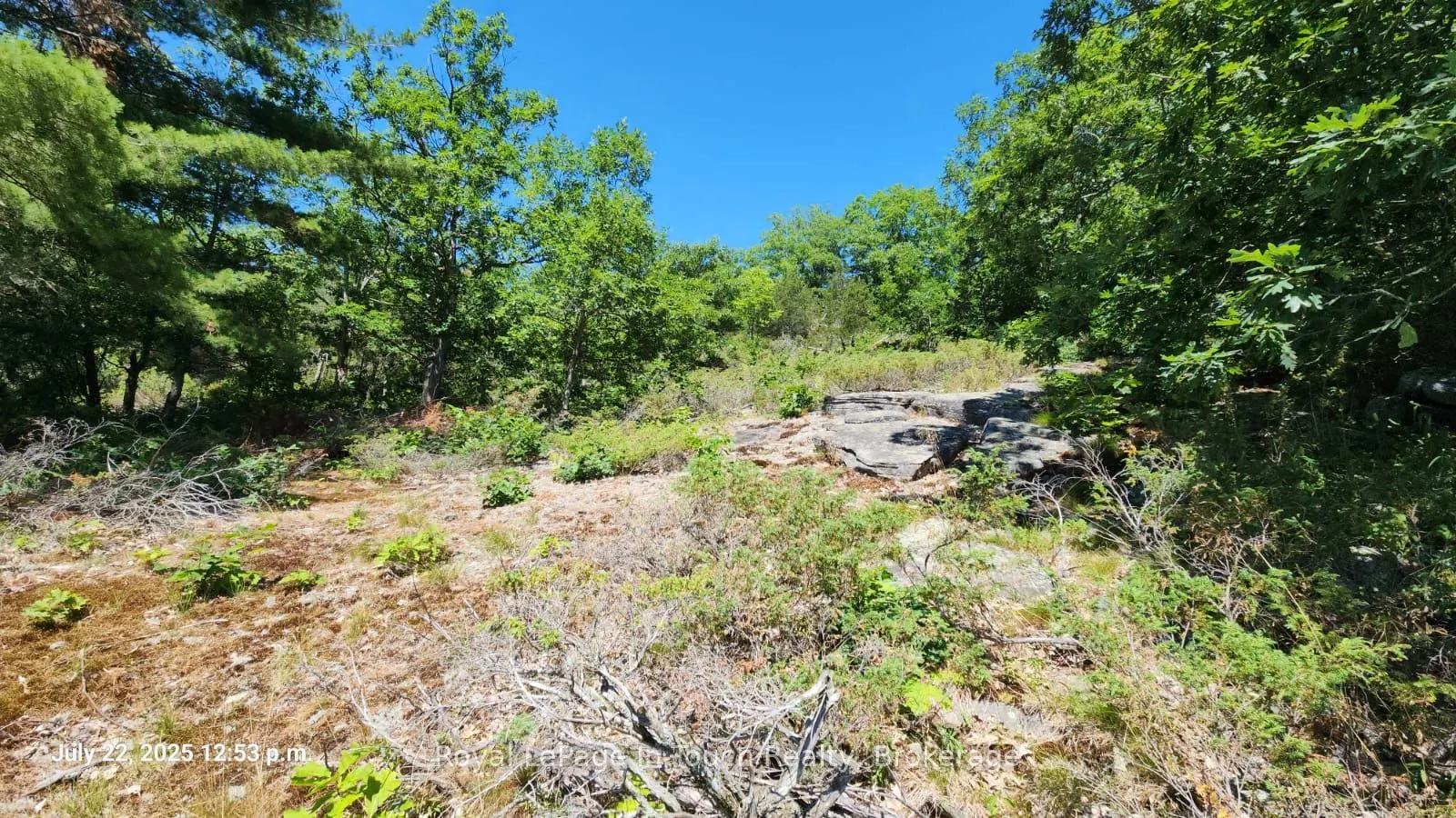 320 O'Hara Point Road