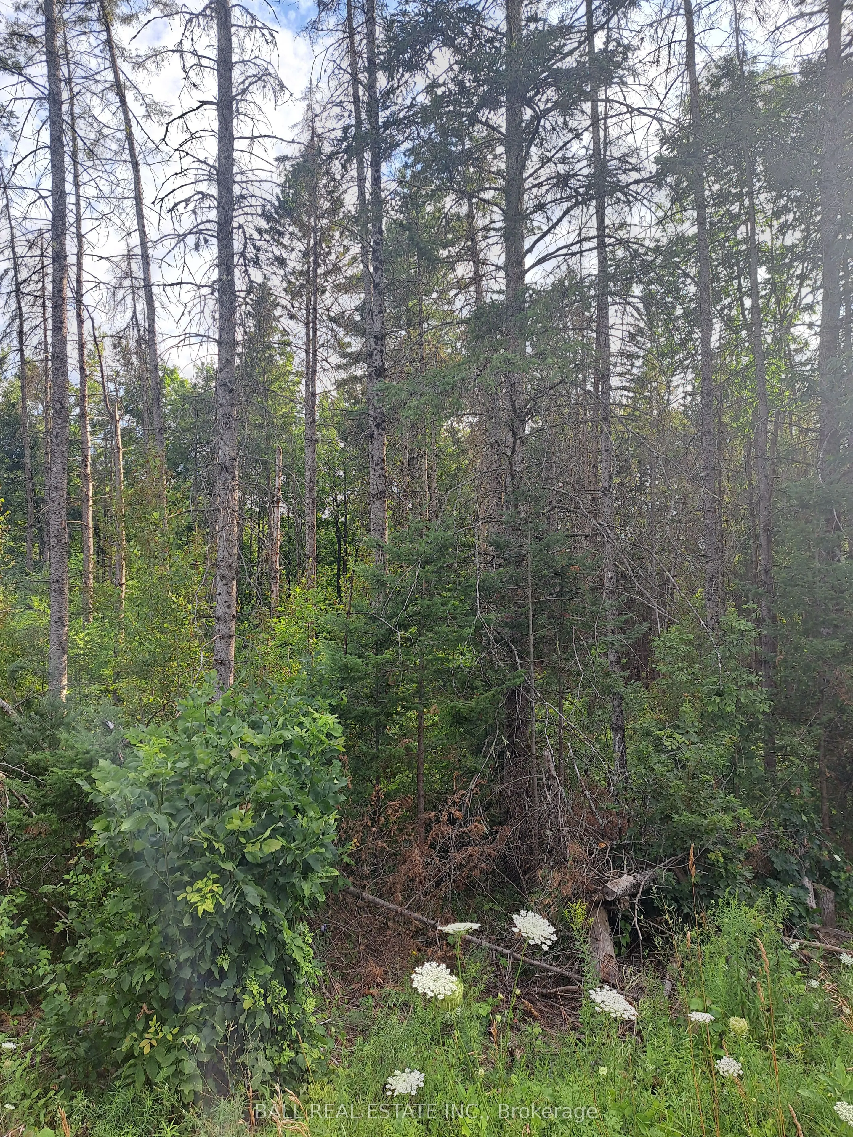 0 Cordova Road