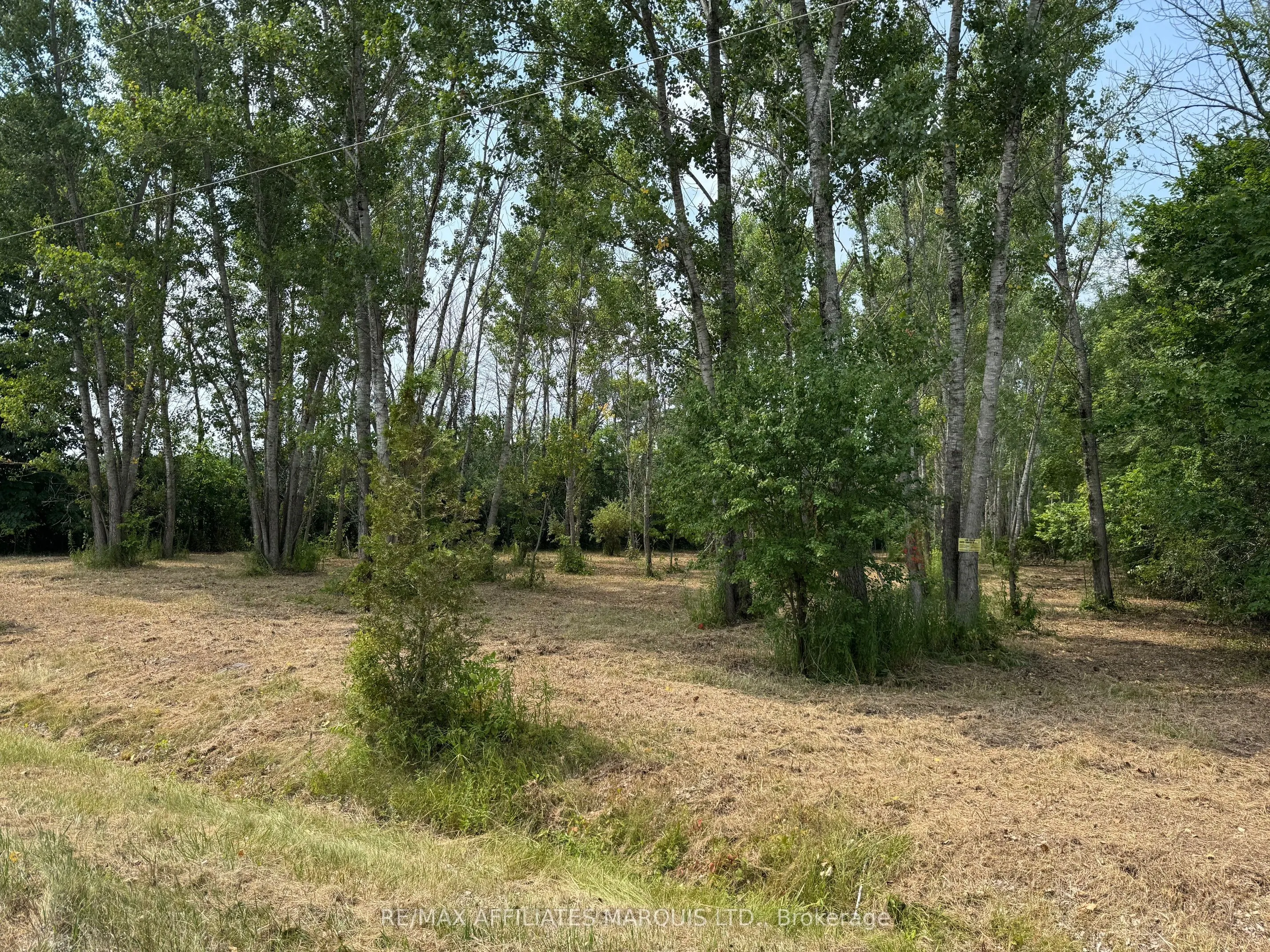 LOT Archer Road