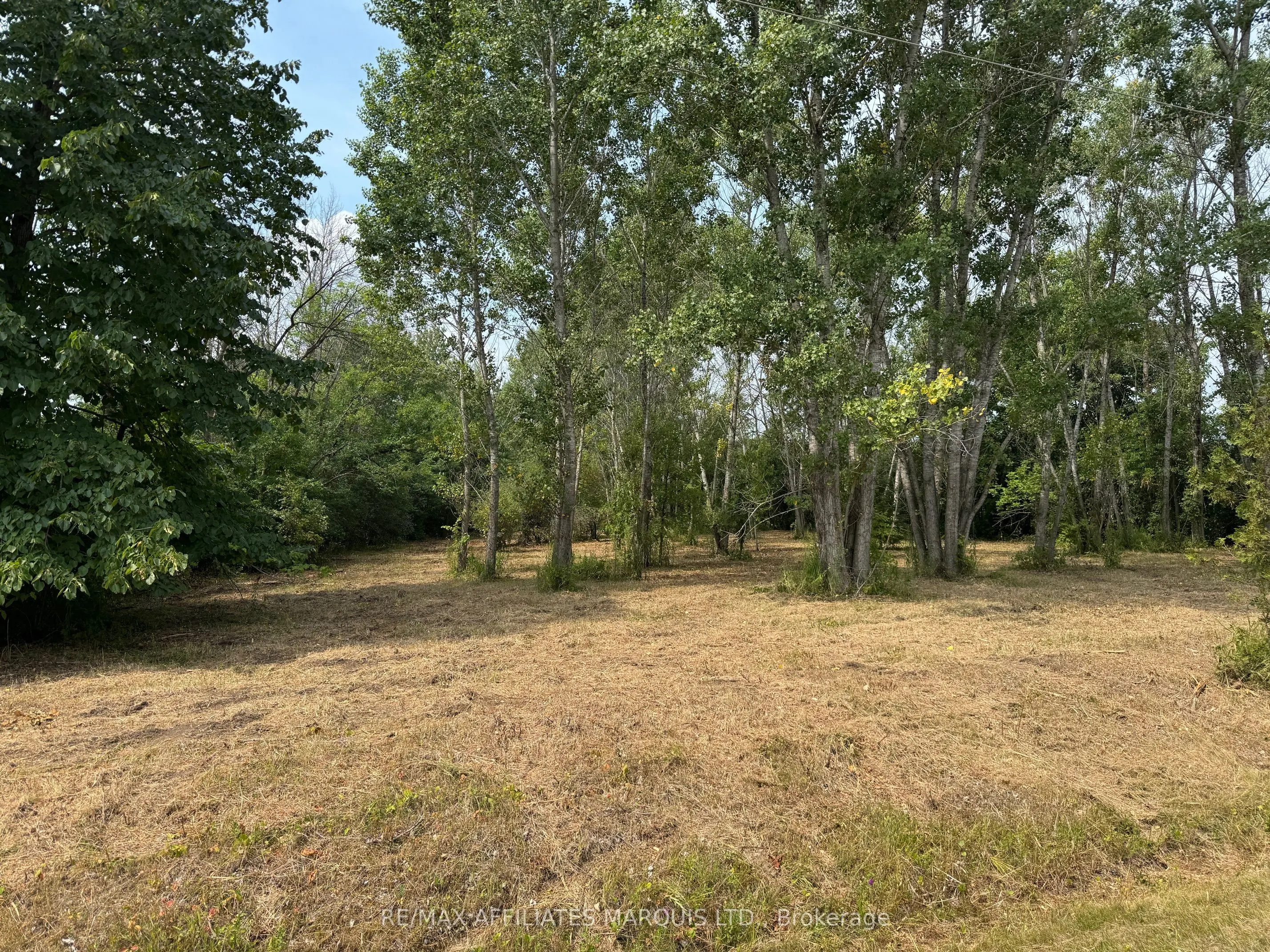 LOT Archer Road
