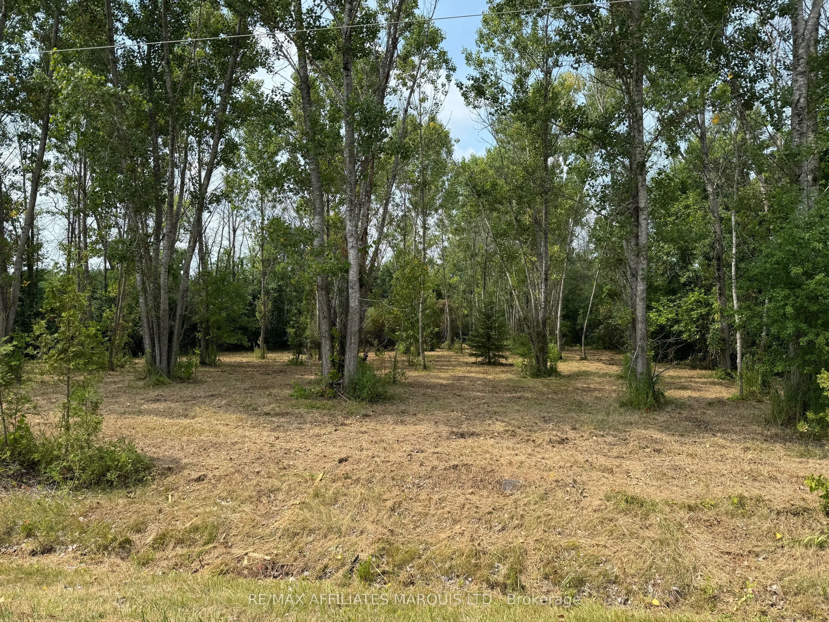 LOT Archer Road