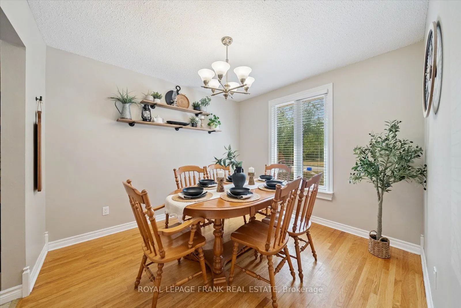 43 Elaine Drive