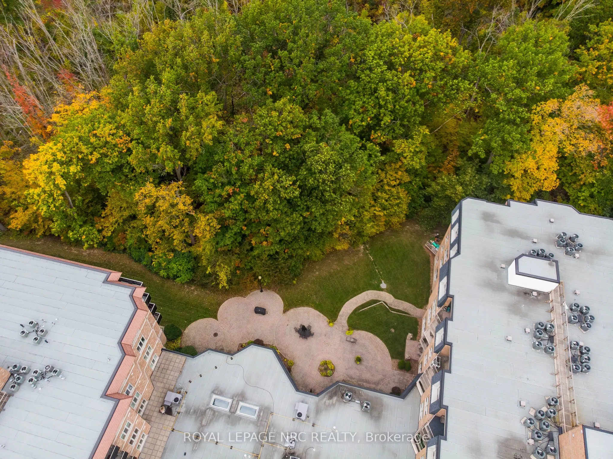 8111 Forest Glen Drive, #203