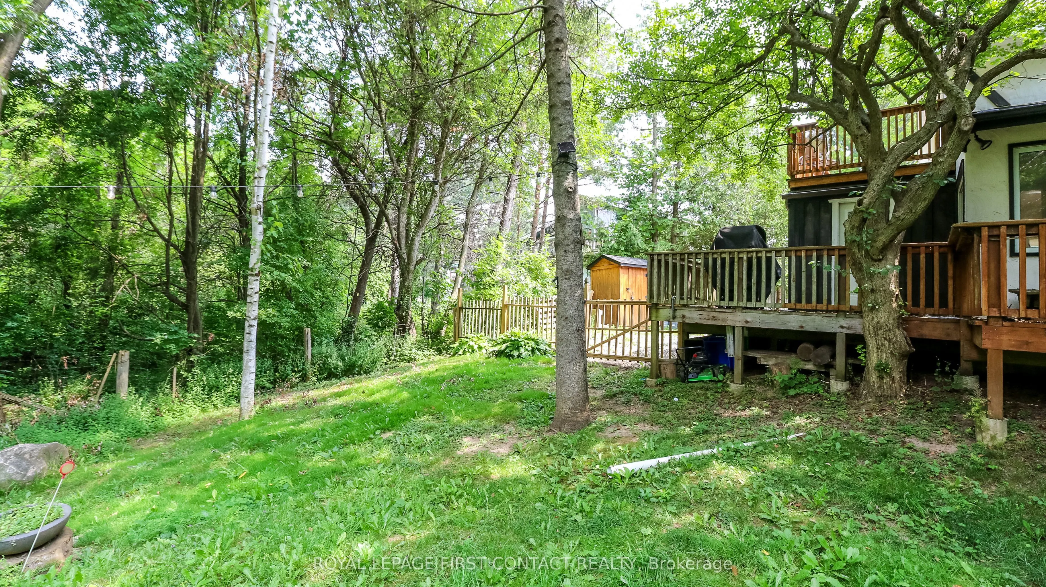 114 Birch View Trail