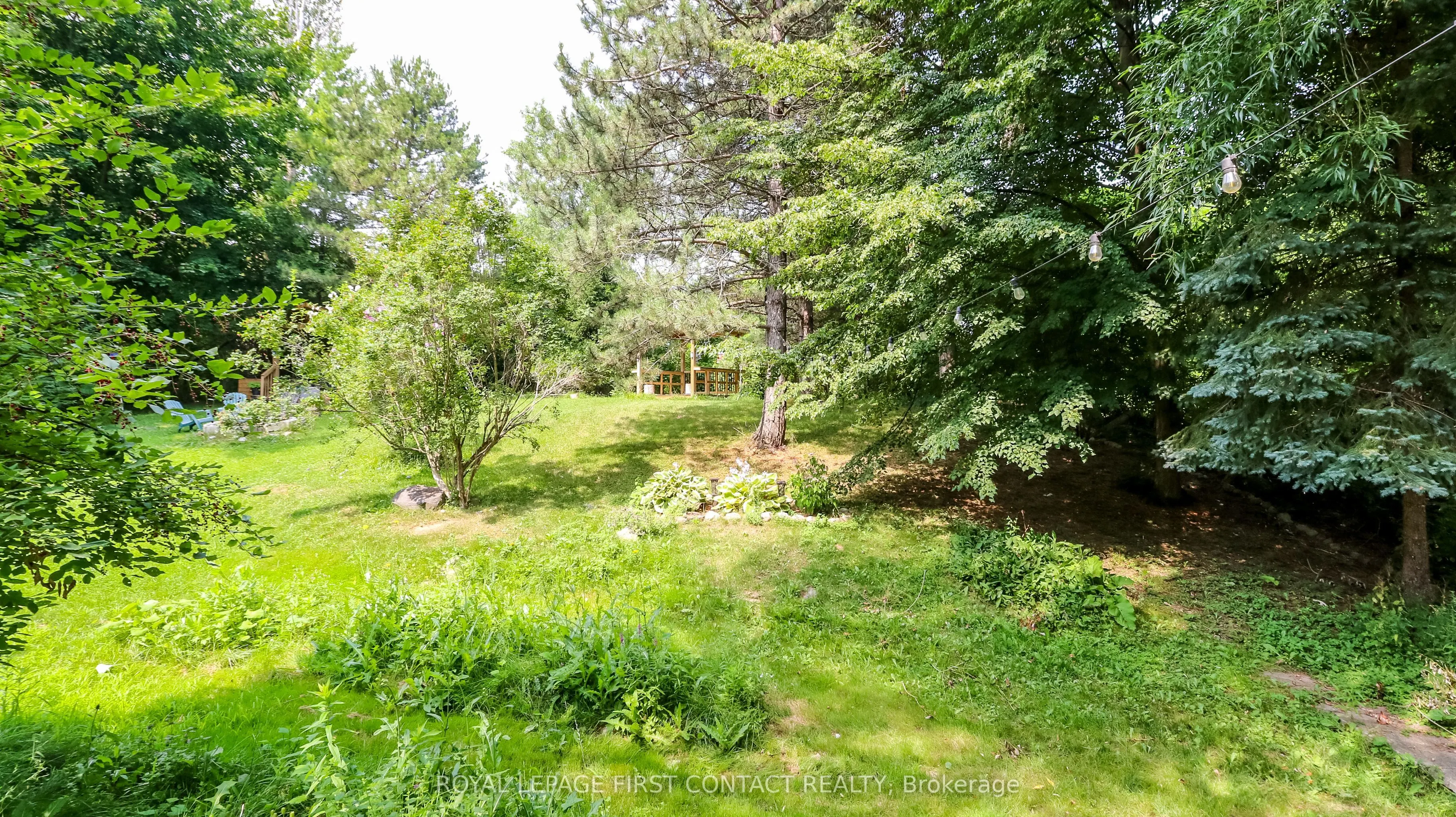 114 Birch View Trail
