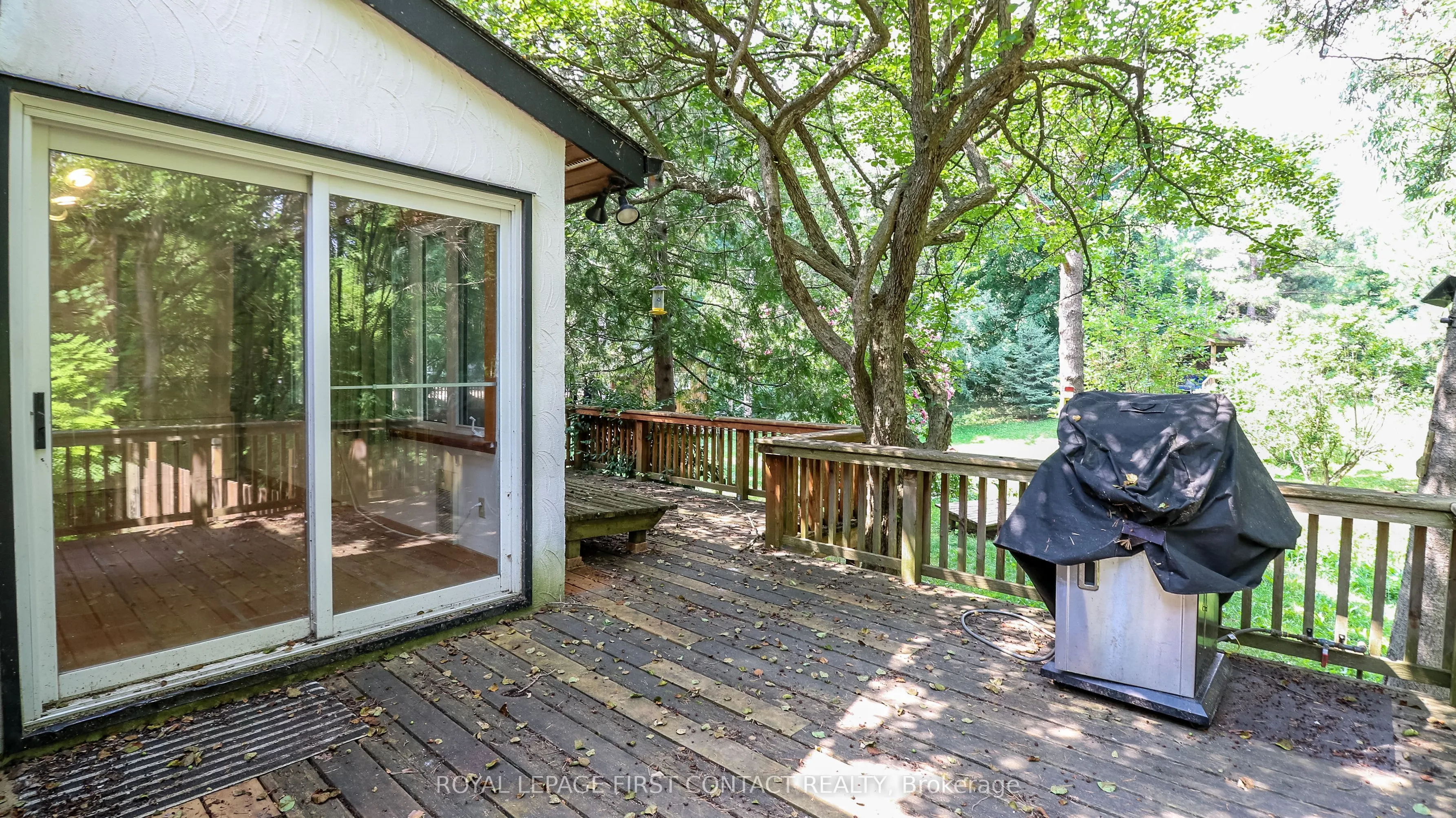 114 Birch View Trail