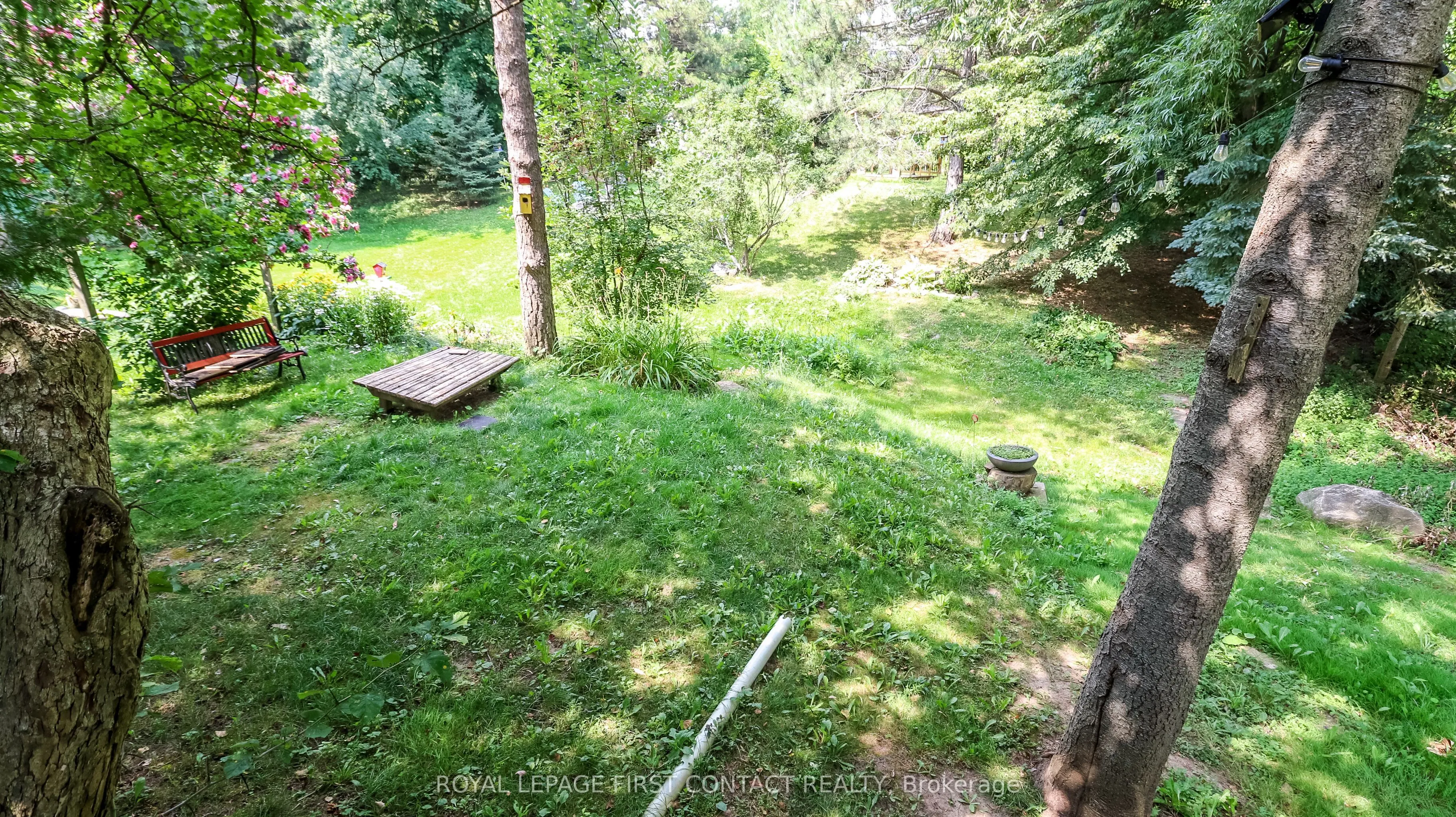 114 Birch View Trail