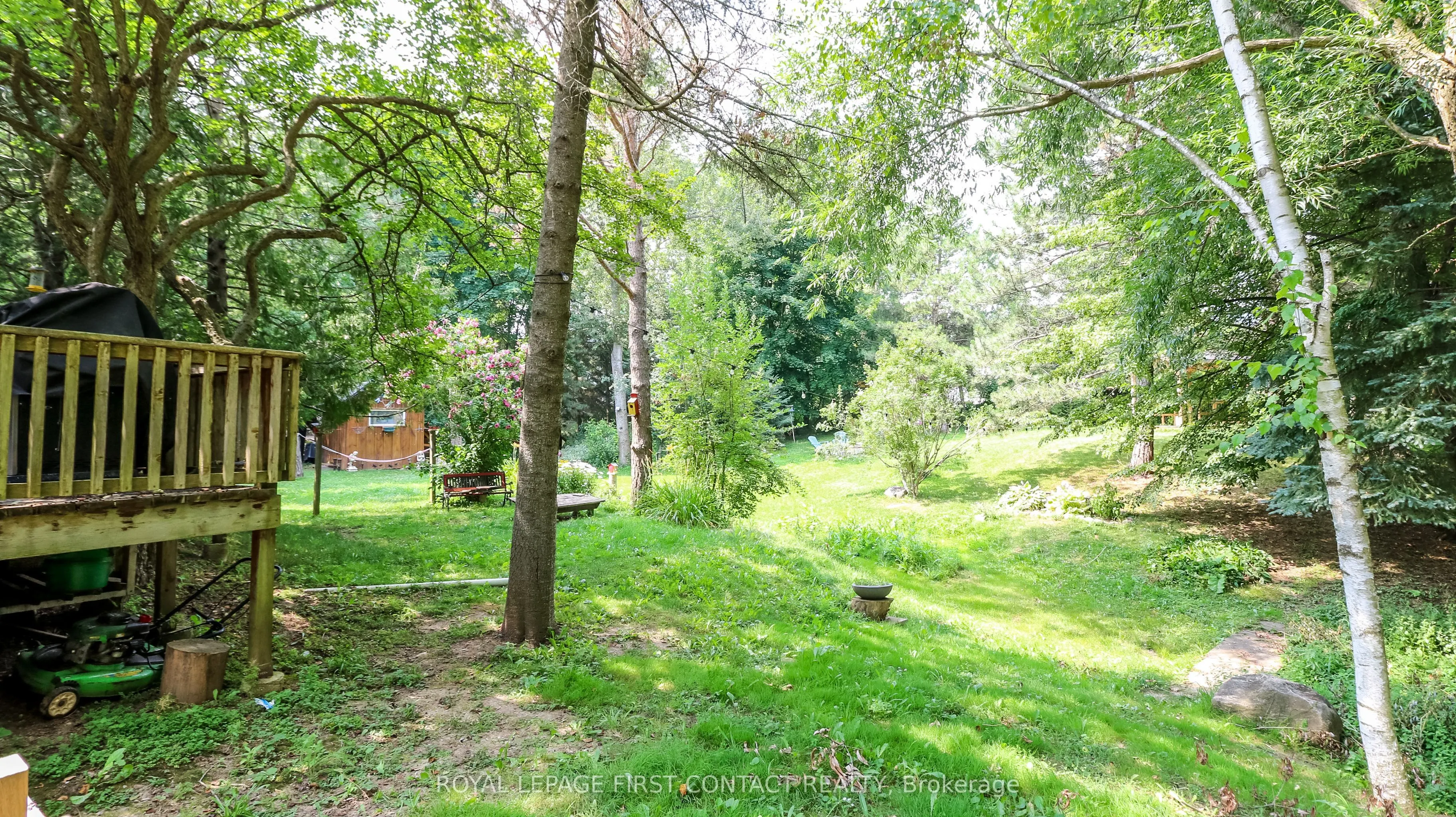 114 Birch View Trail