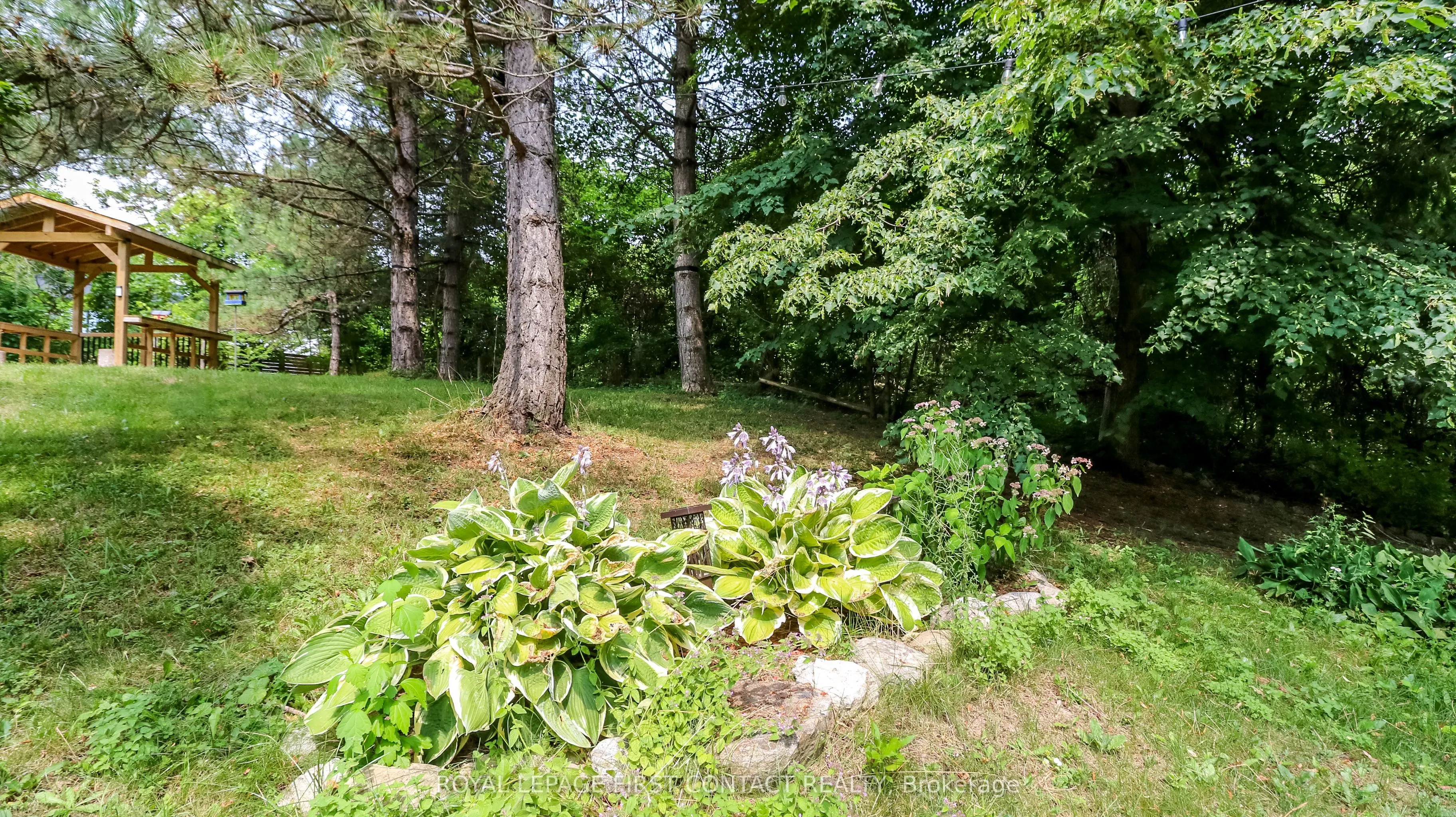 114 Birch View Trail