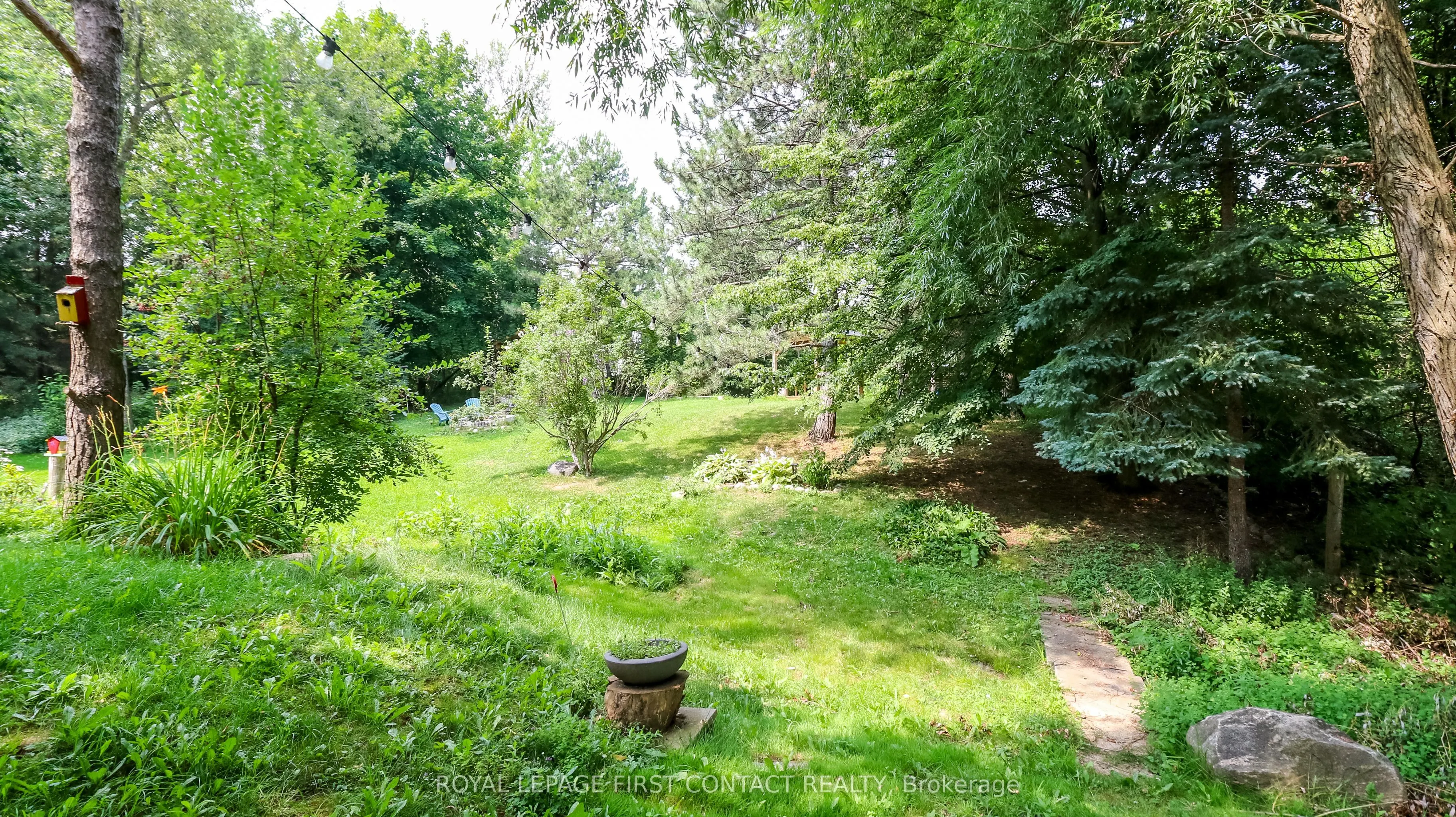 114 Birch View Trail