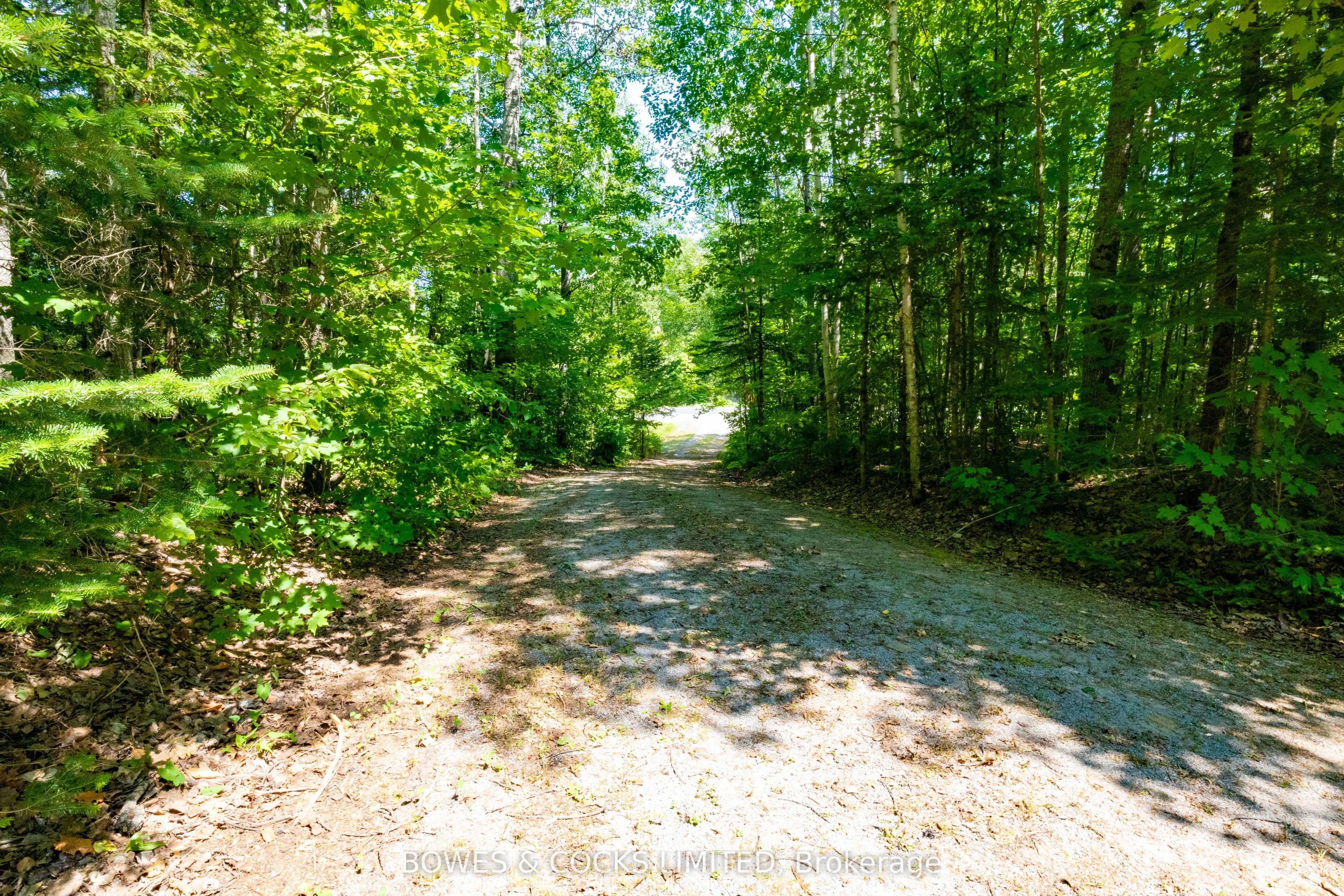 12916 Highway 28