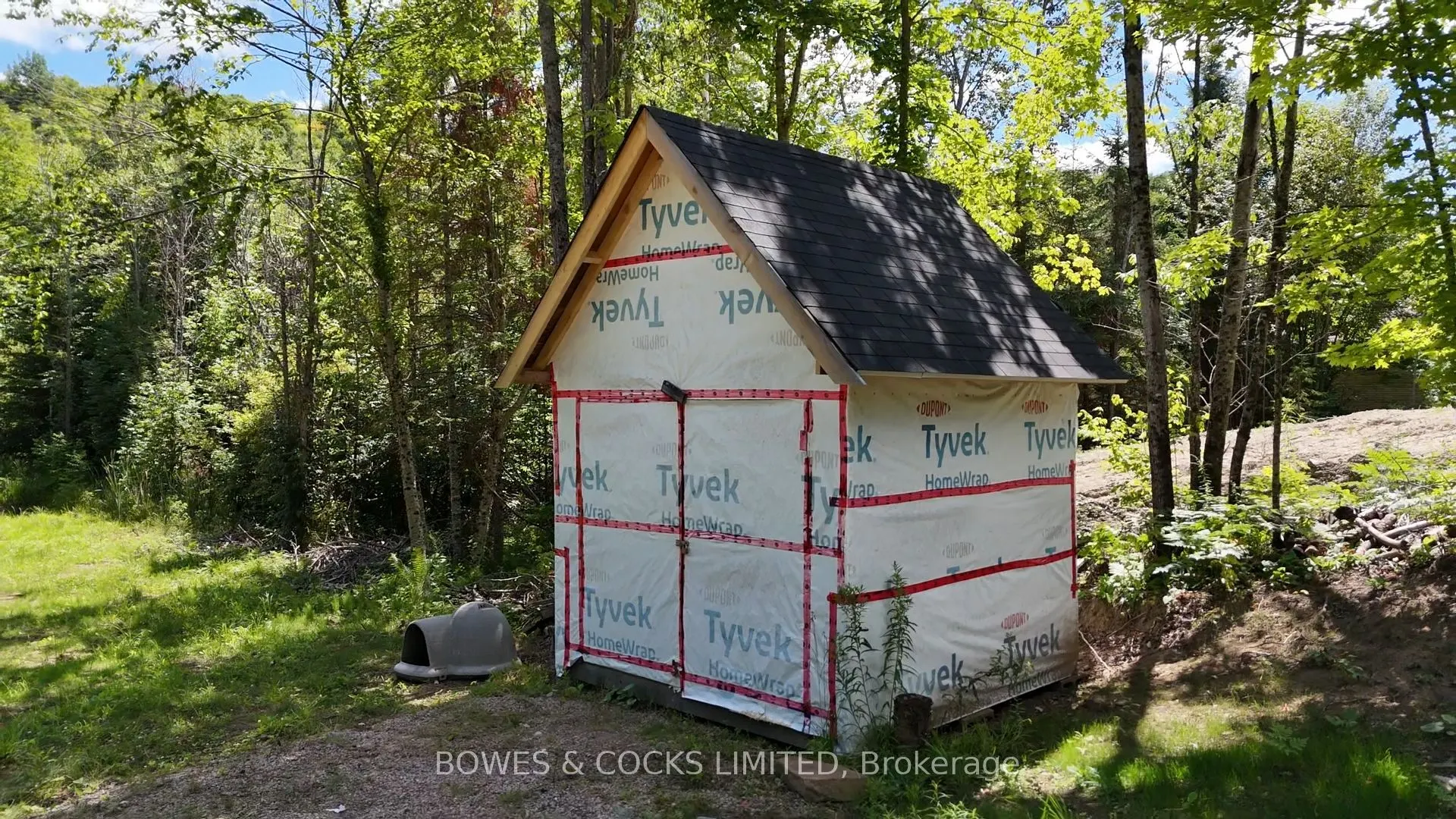 4242 Loop Road