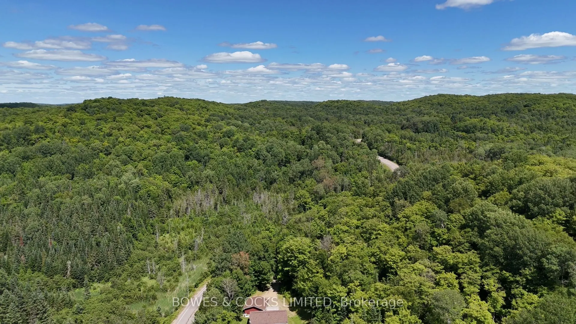 4242 Loop Road