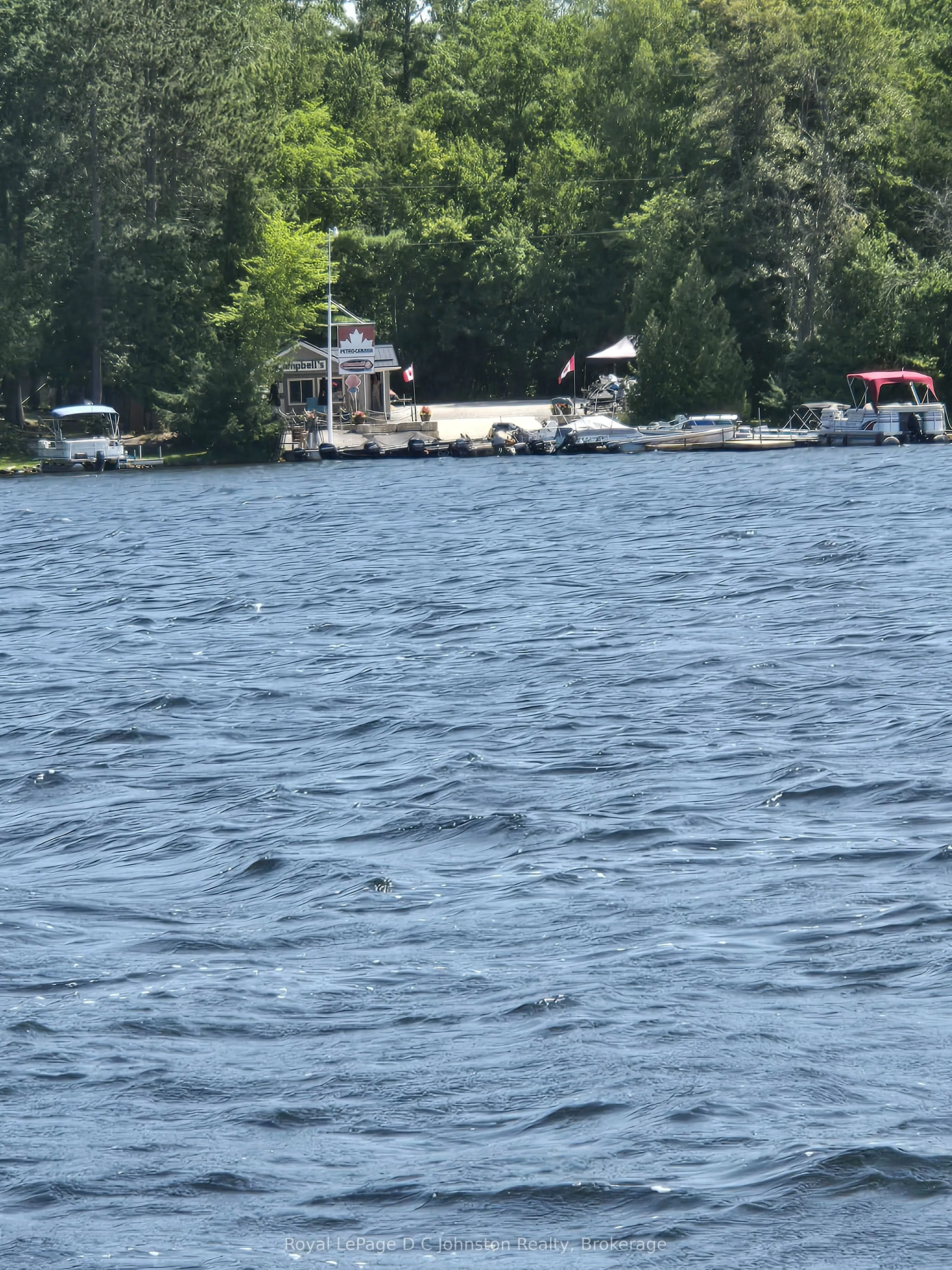 247 Big Island Bel Lk E