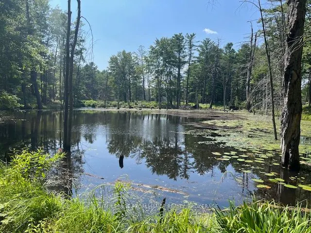 2142 4th Lake Road