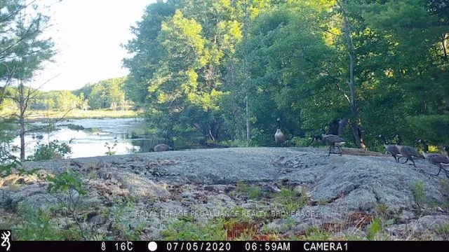 2142 4th Lake Road