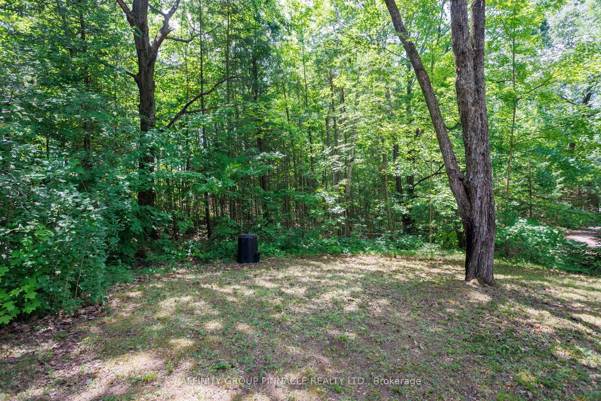 46 Creek View Road
