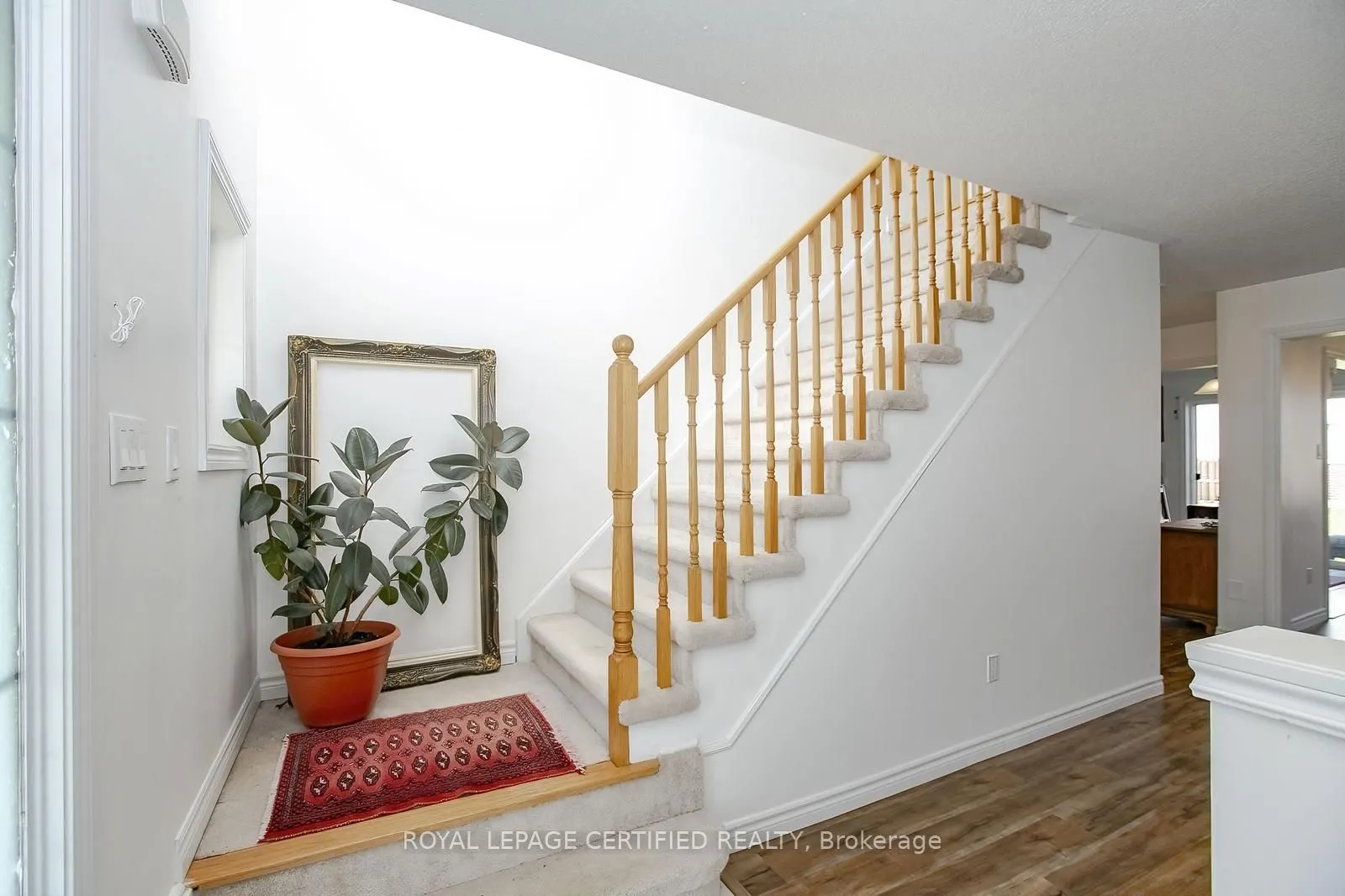 102 Elm Street