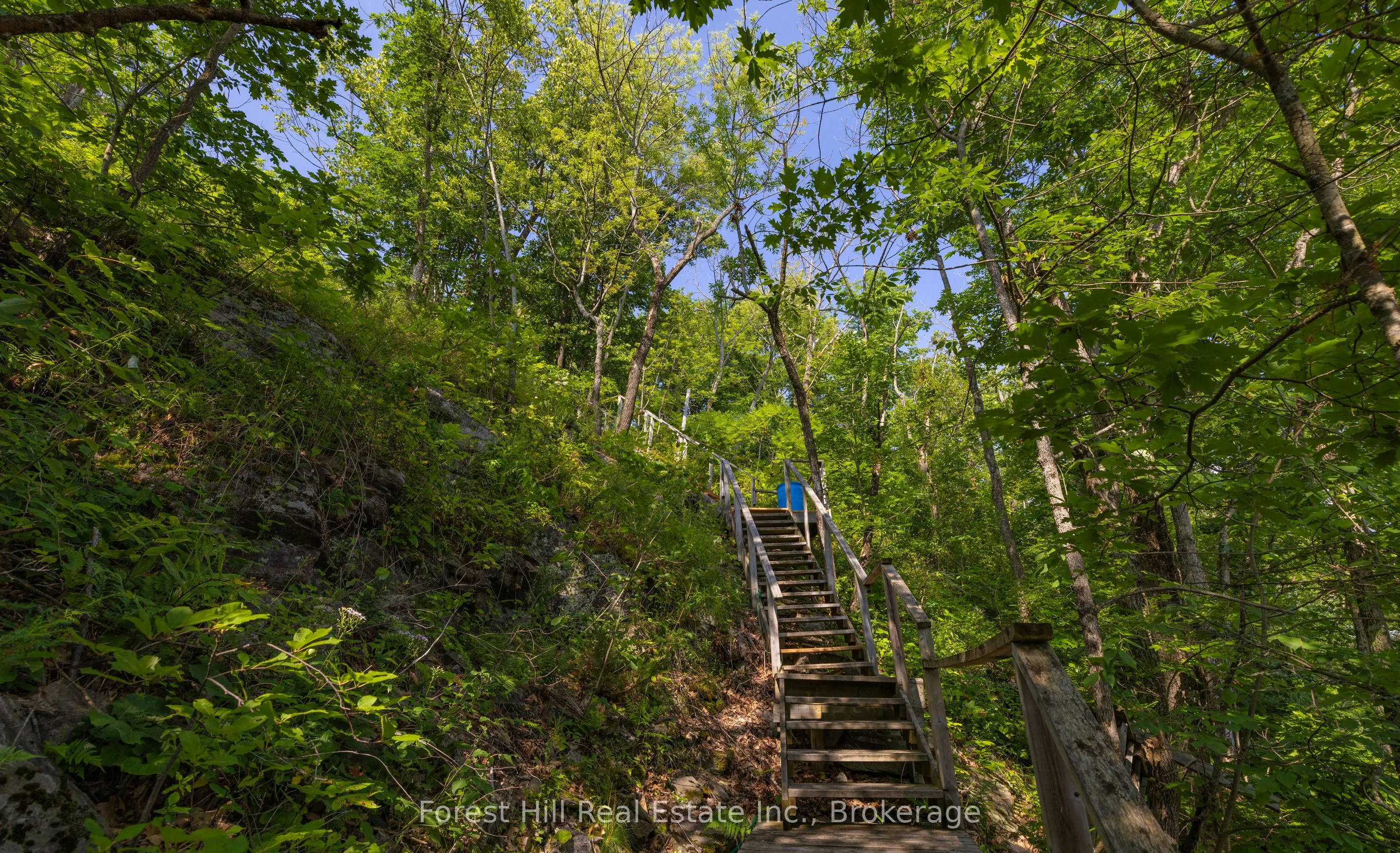 959 HARRISON Trail
