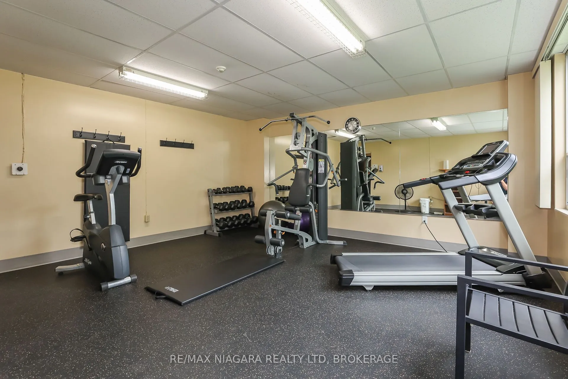 365 Geneva Street, #1003