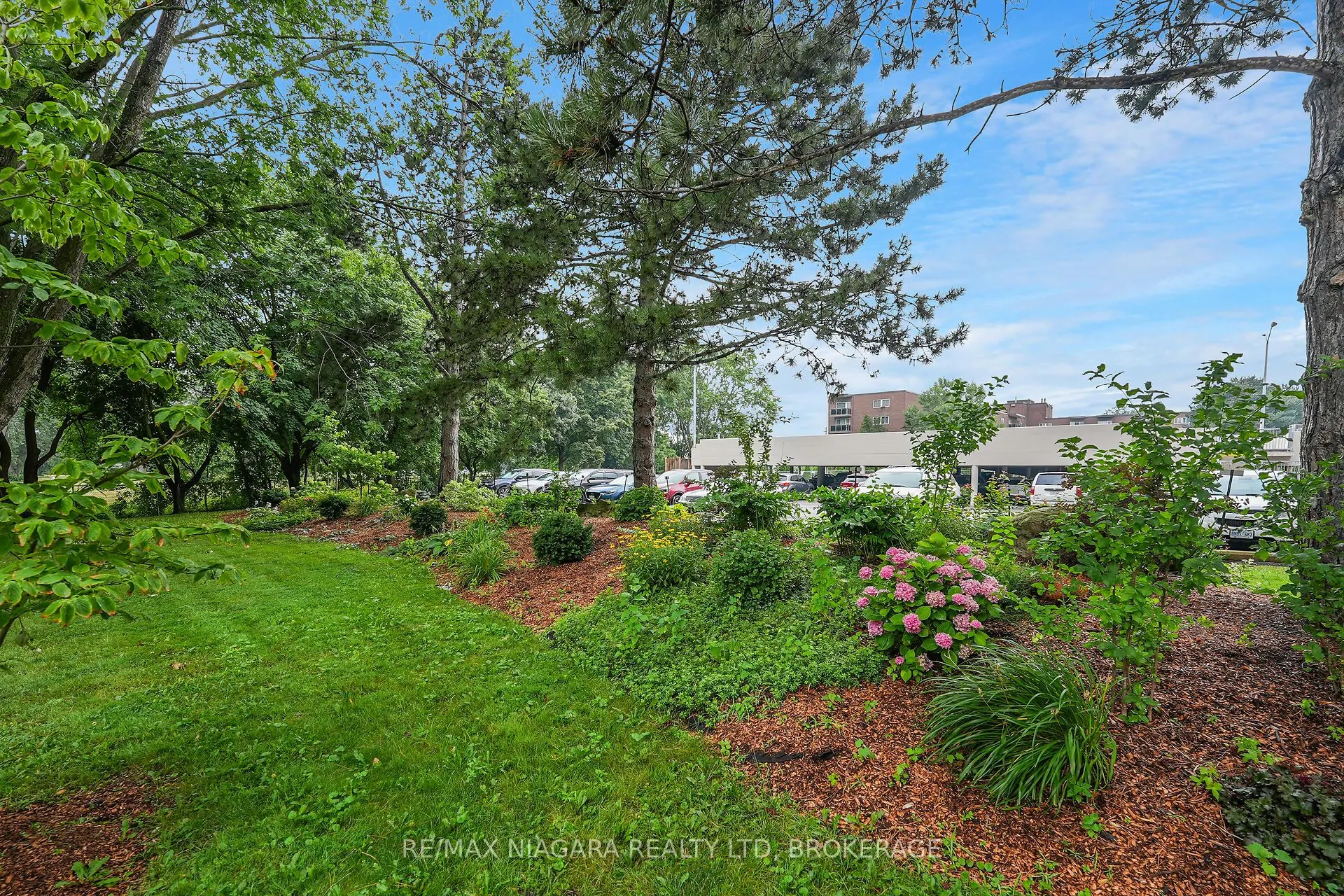 365 Geneva Street, #1003