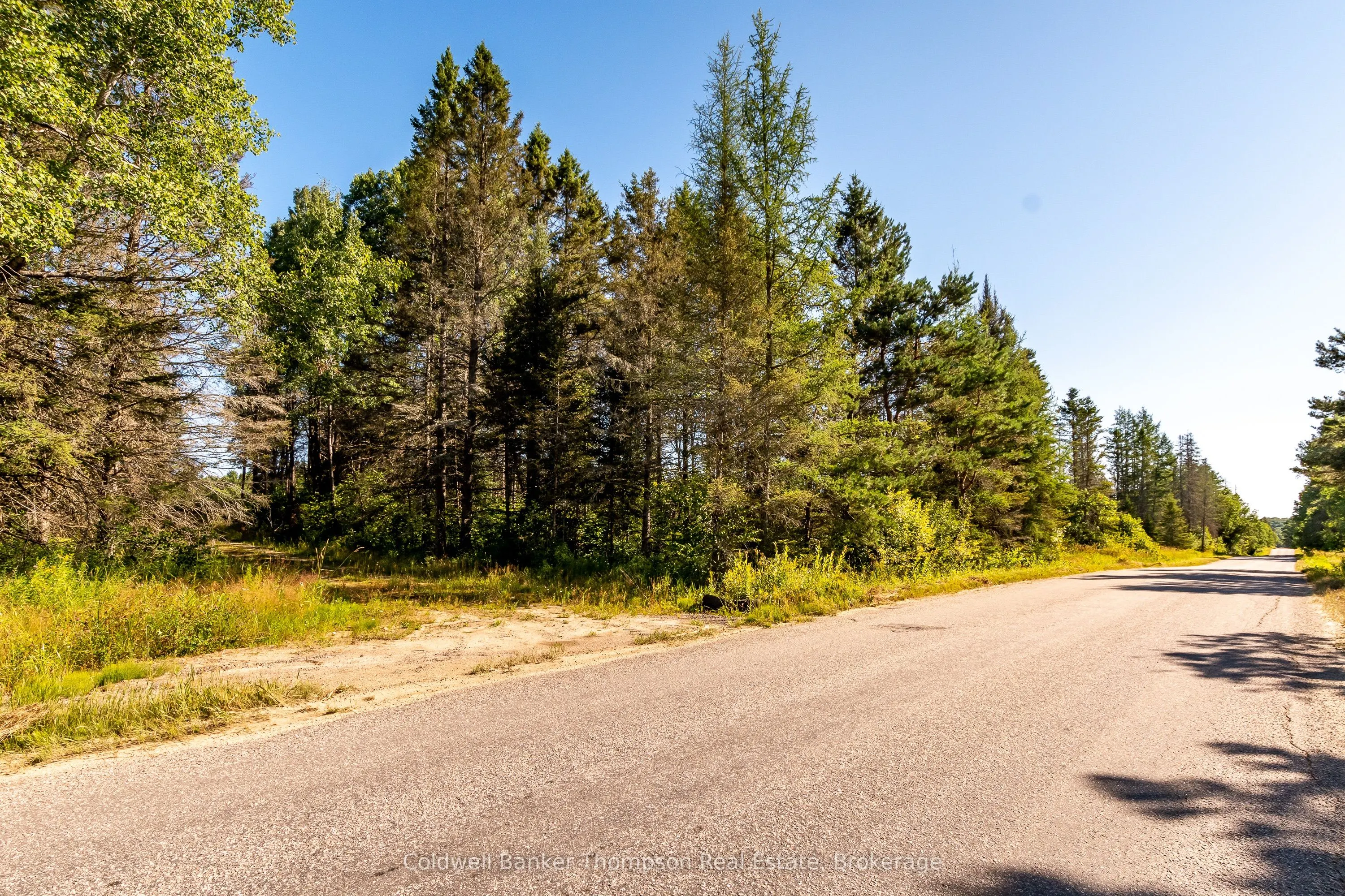 254 Pickerel Lake Road