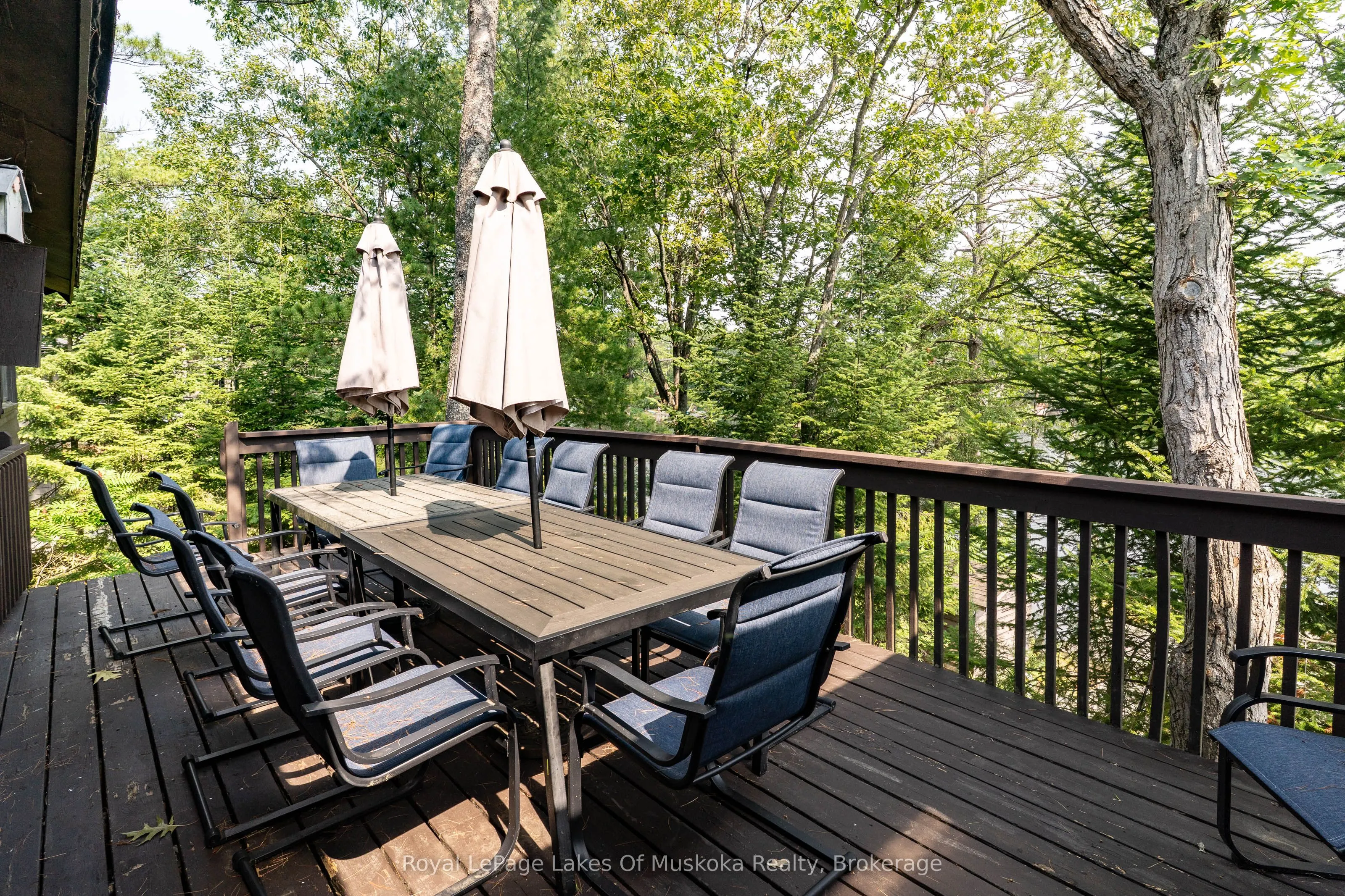 51 Pinetree Road
