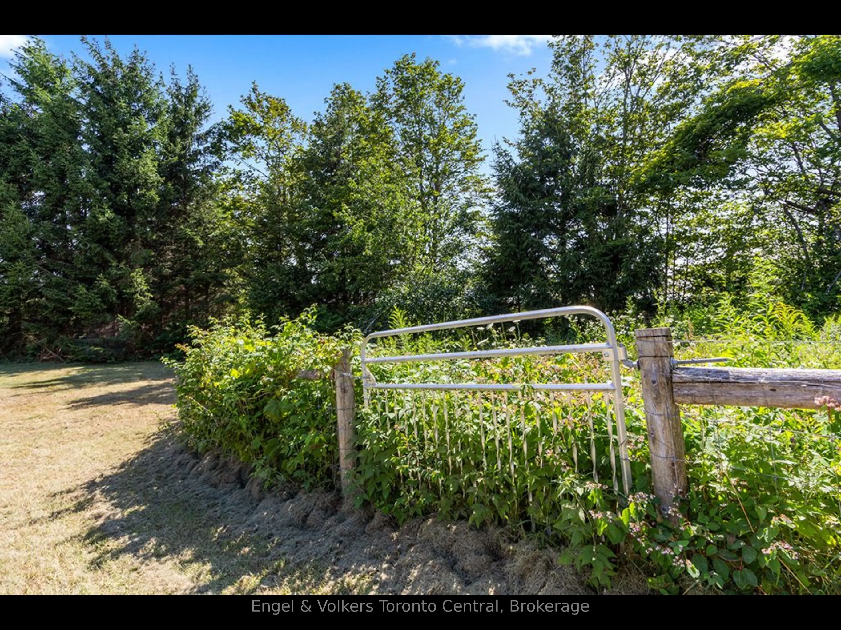210 EAGLE Crescent