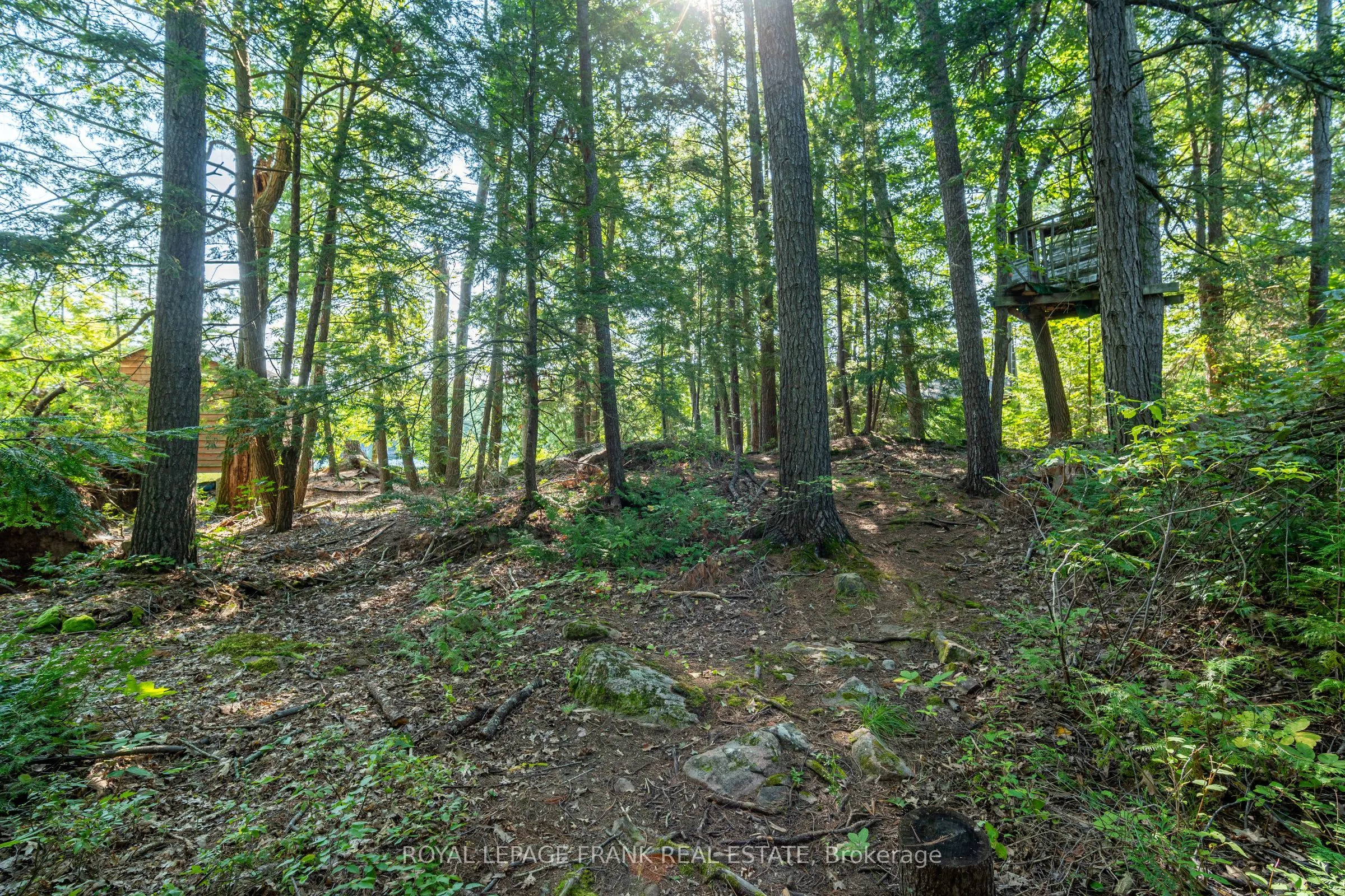 428 & 430 Island 7 Stoney Lake