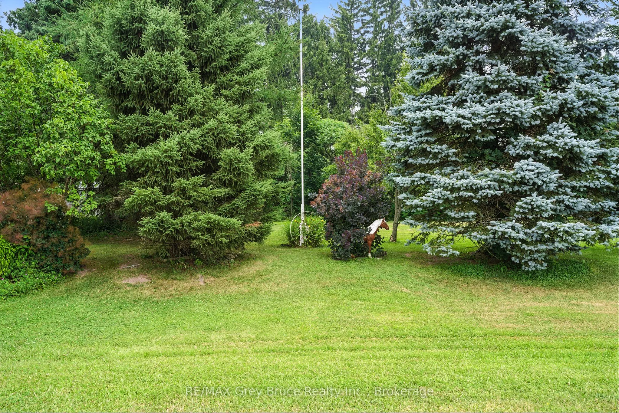 217590 3 Concession