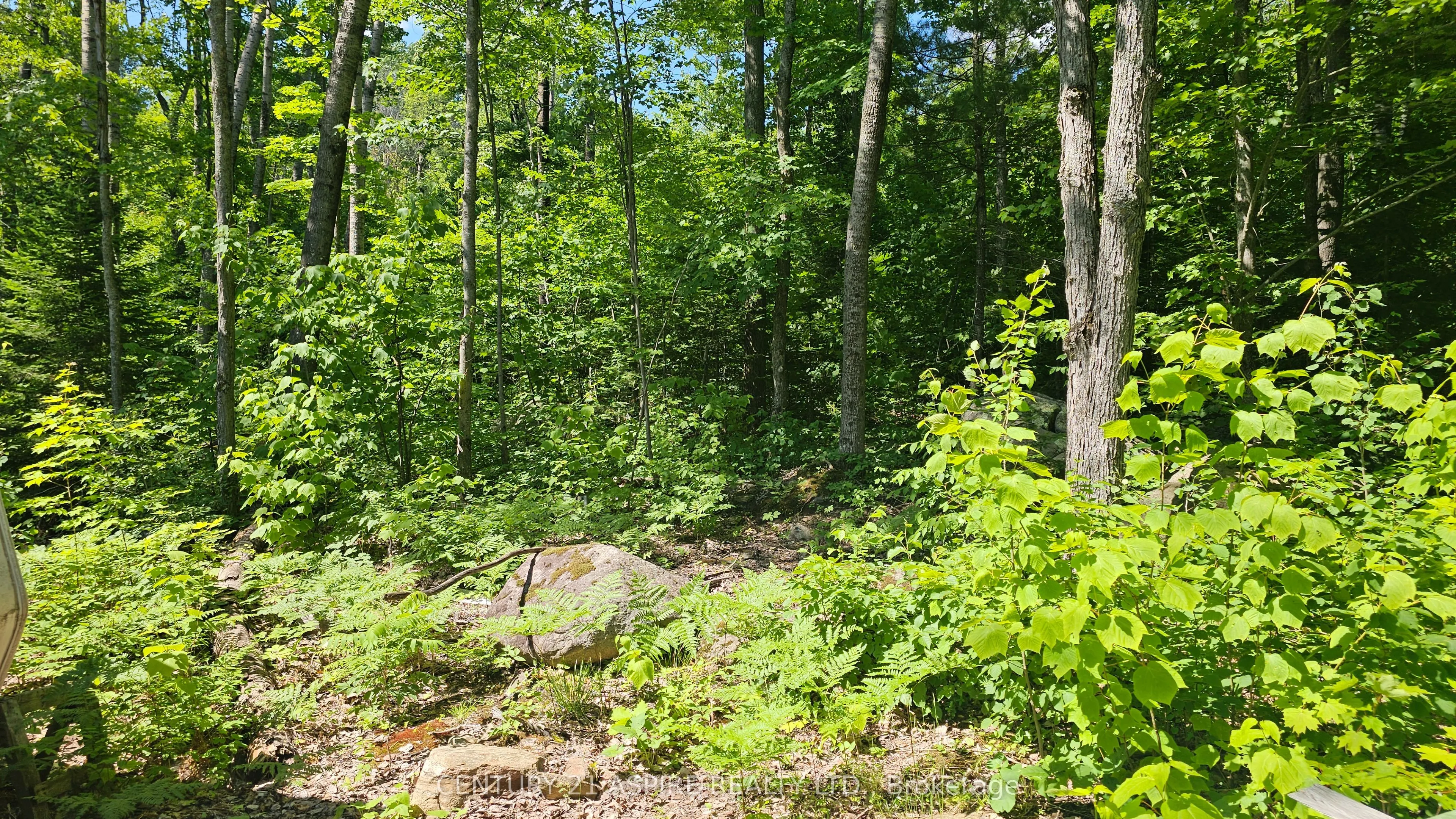 11072 Opeongo Road