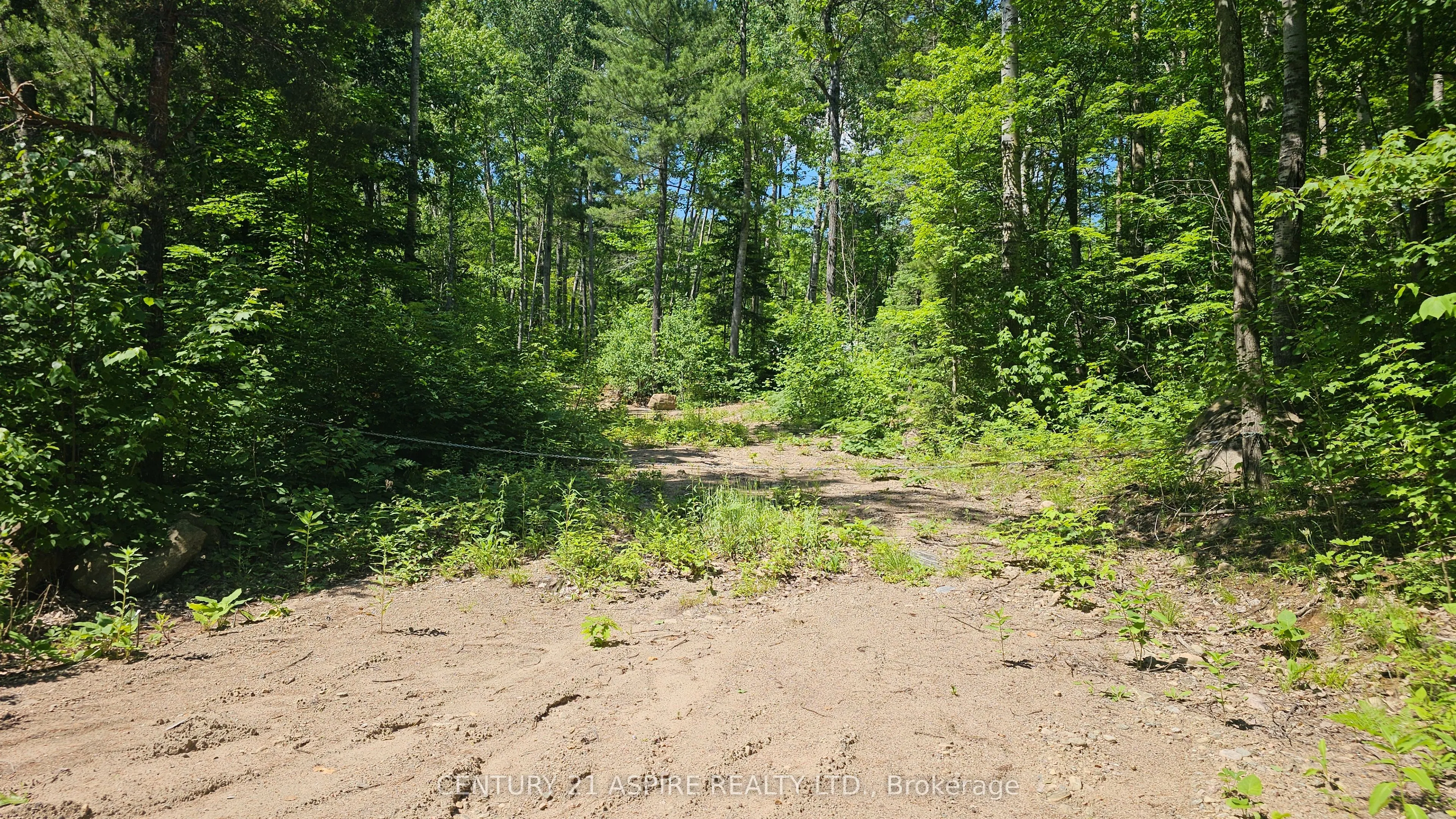 11072 Opeongo Road